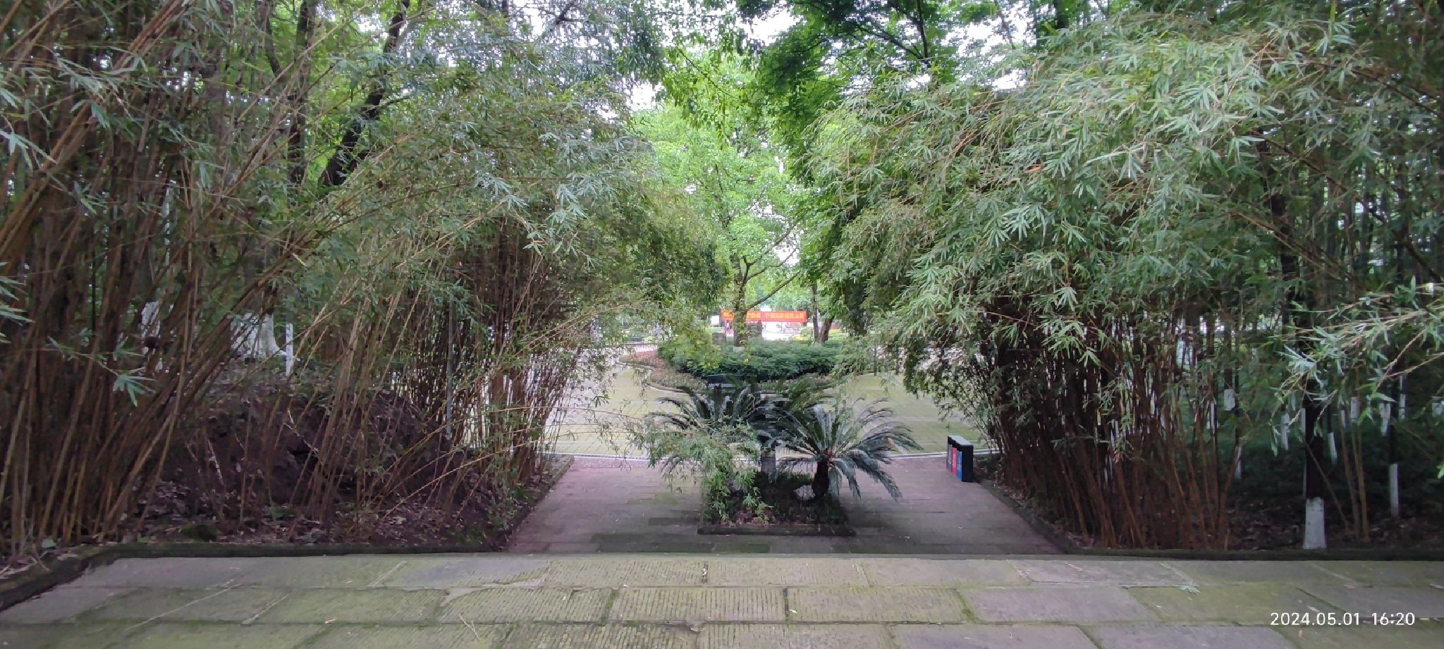 木崖公园旅行图片 1