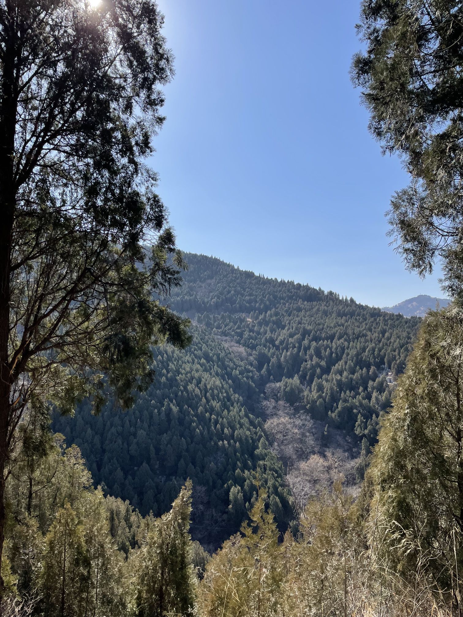 天堂寨景区旅行图片 2
