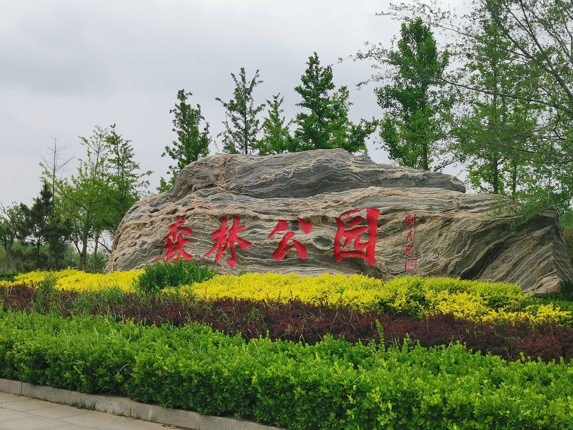 黄骅市森林公园