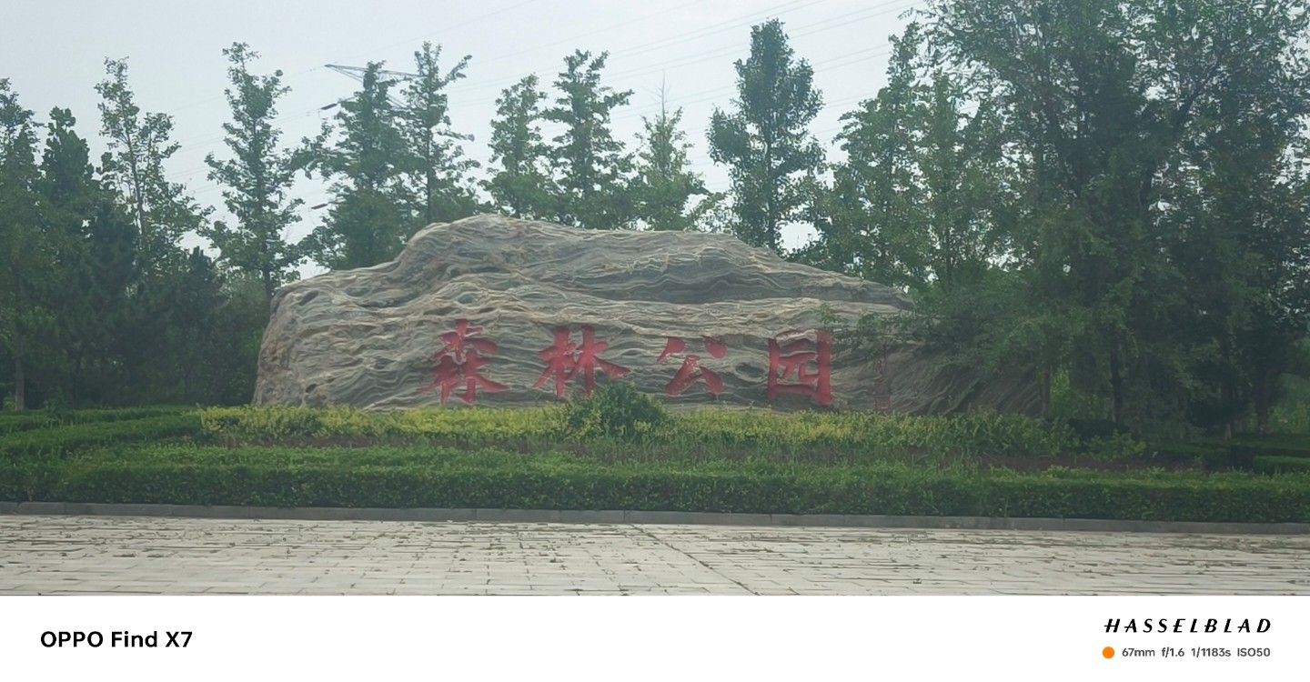 黄骅市森林公园旅行图片 2