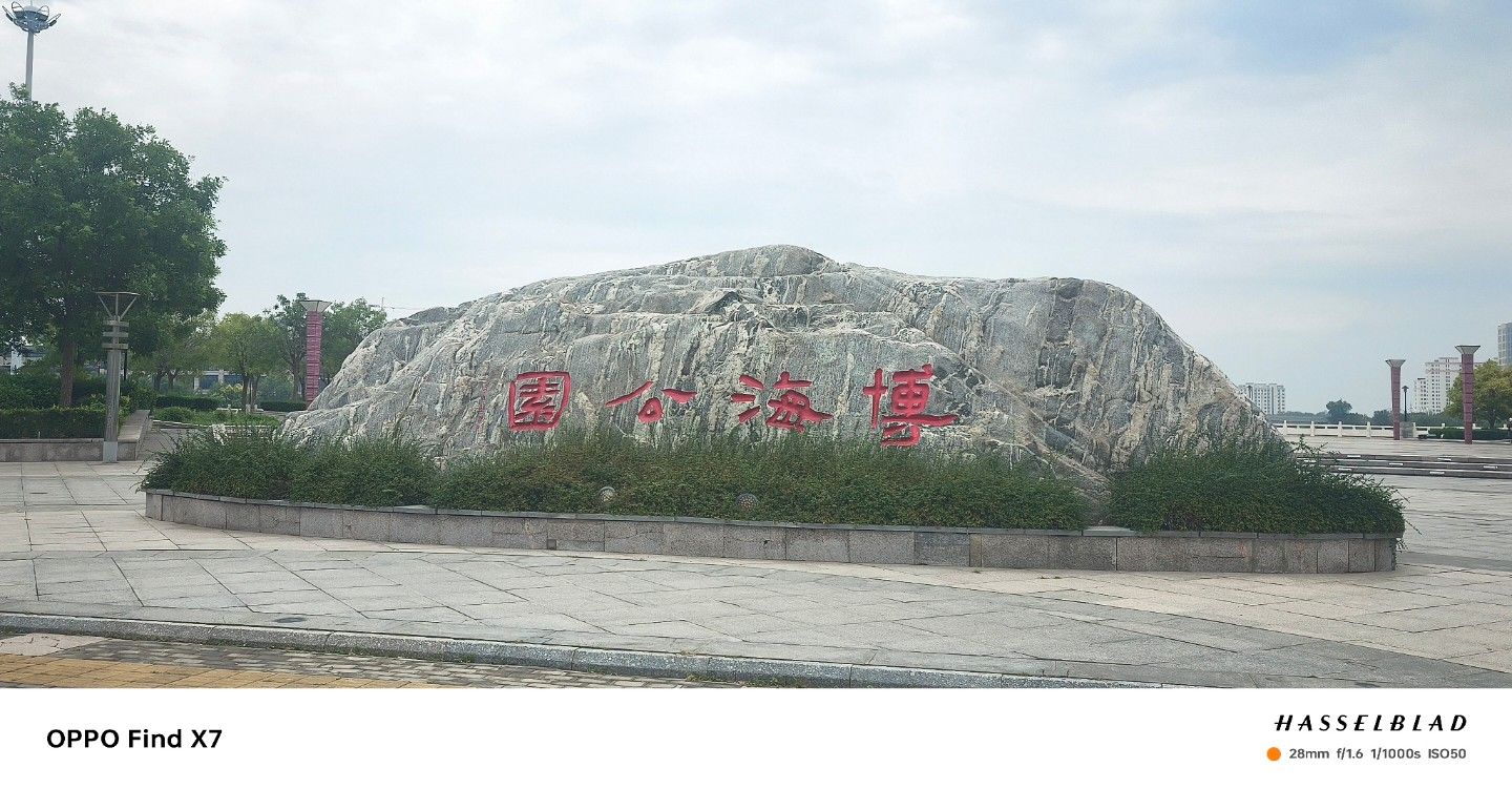黄骅市森林公园旅行图片 3