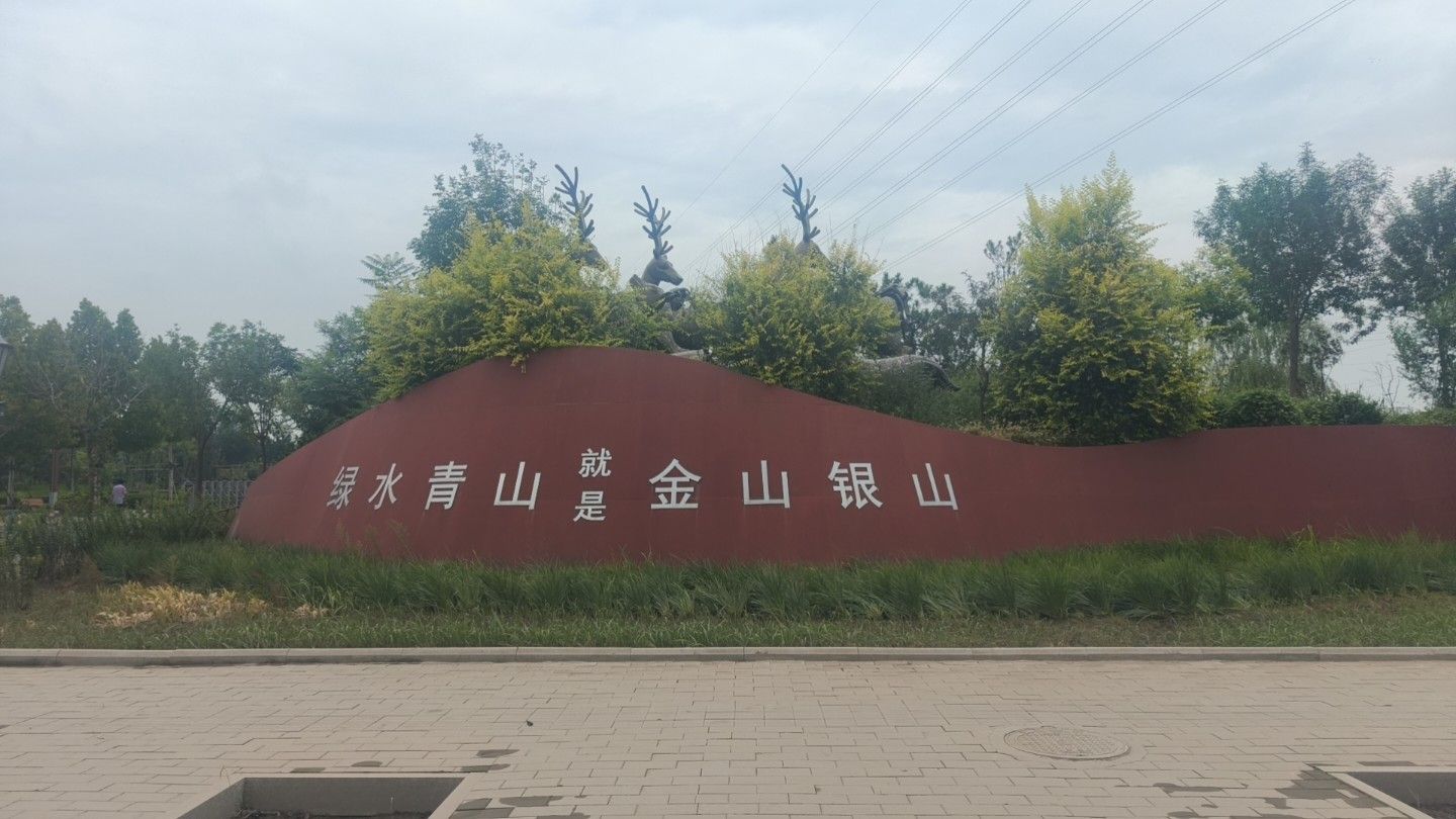 黄骅市森林公园旅行图片 1