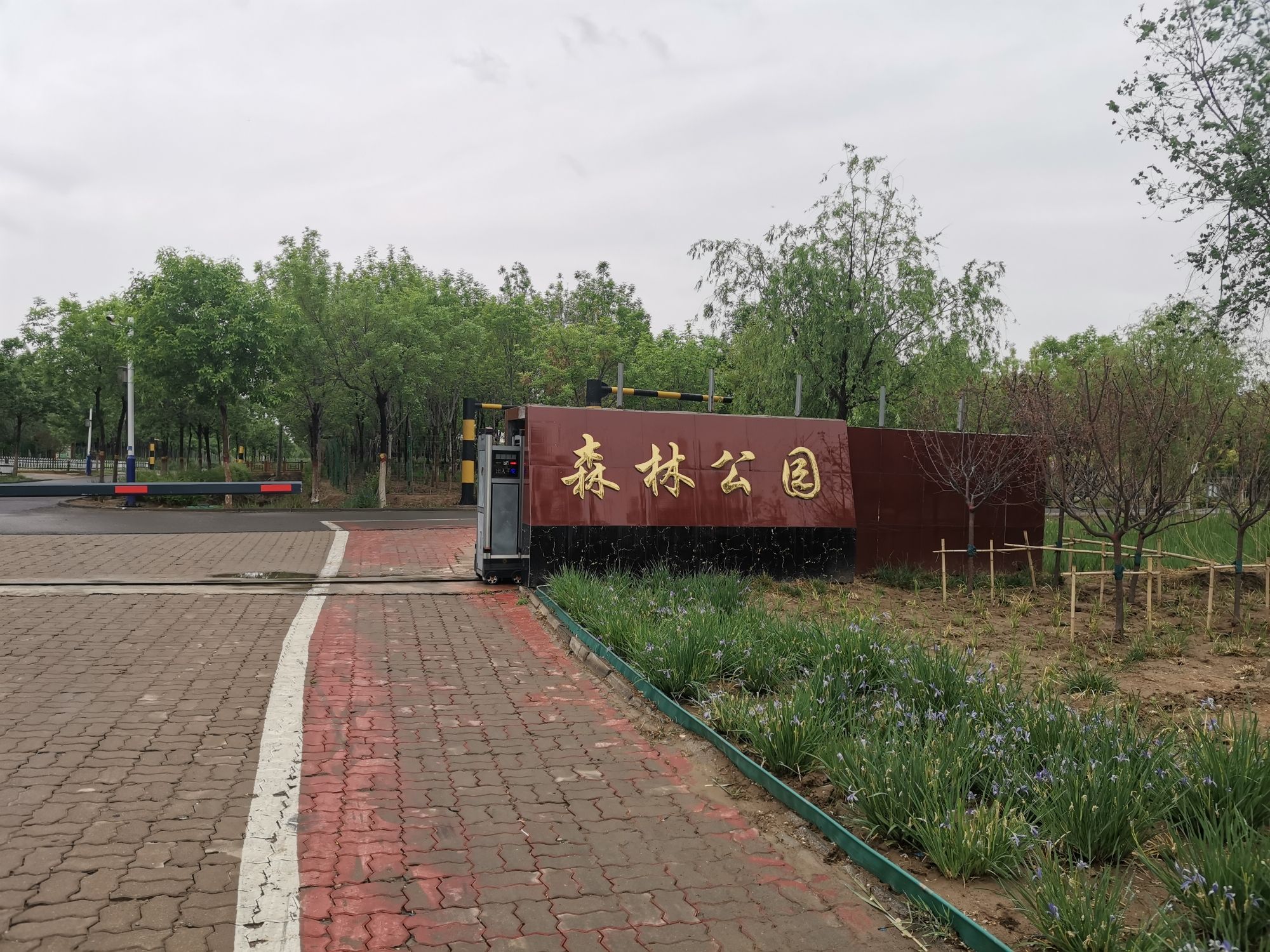 黄骅市森林公园旅行图片 3