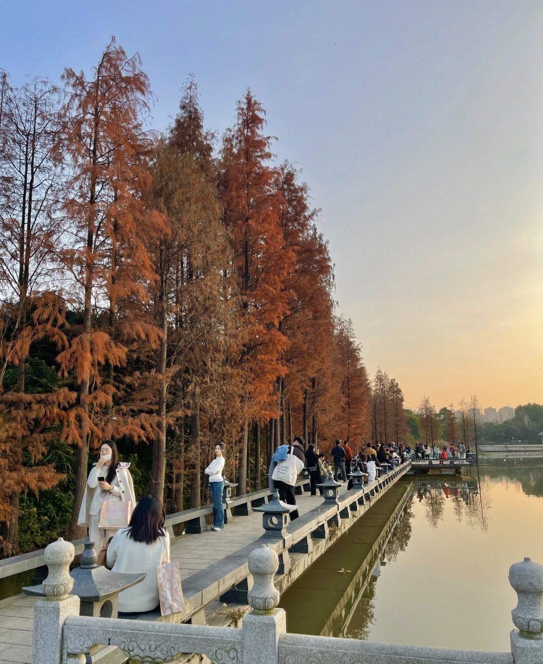 桂林市山水公园旅行图片 1