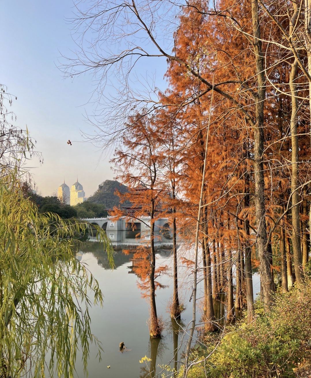 桂林市山水公园旅行图片 2