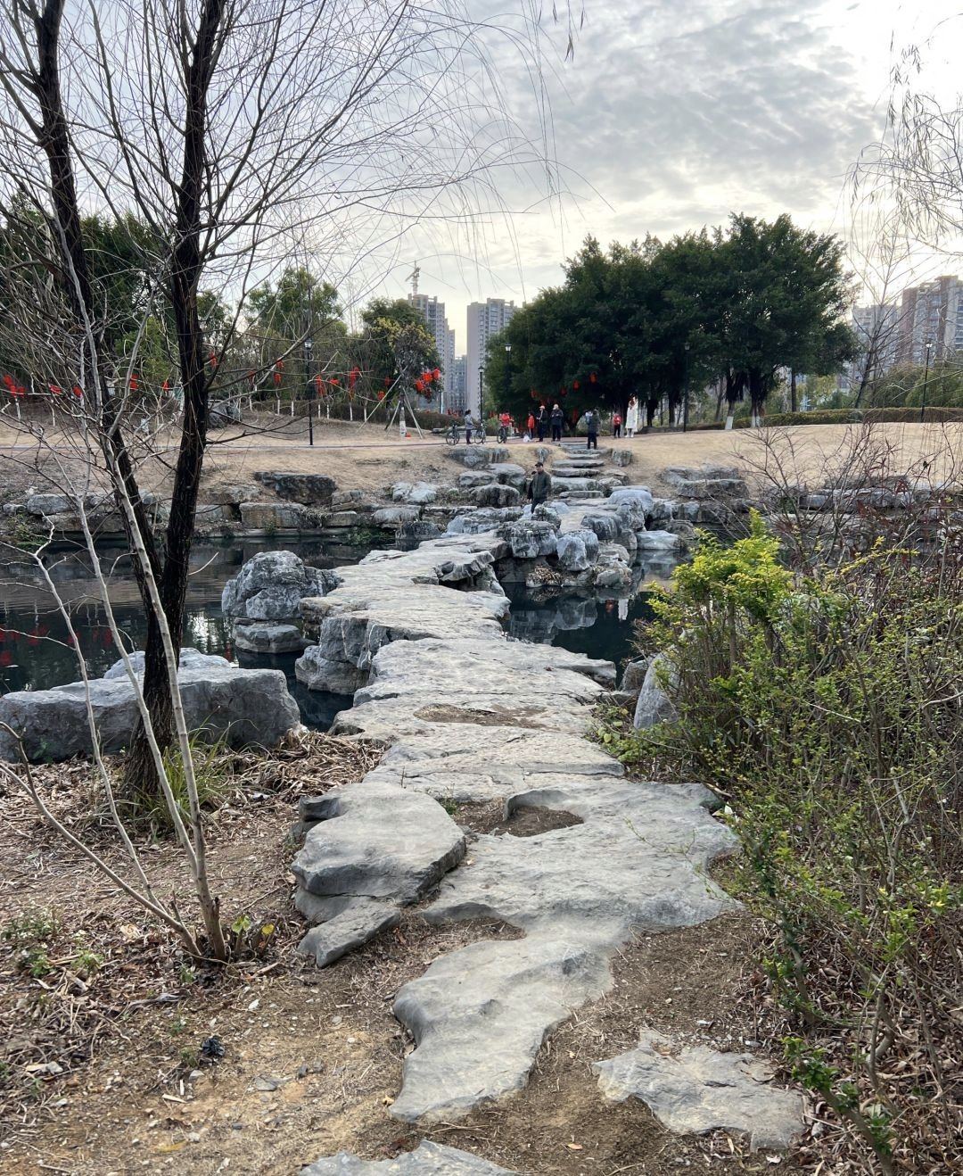 桂林市山水公园旅行图片 3