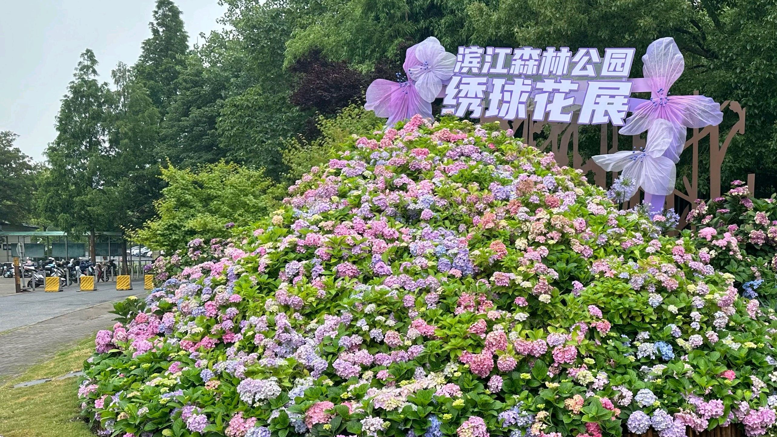 滨江森林公园-滨江岸线观景区