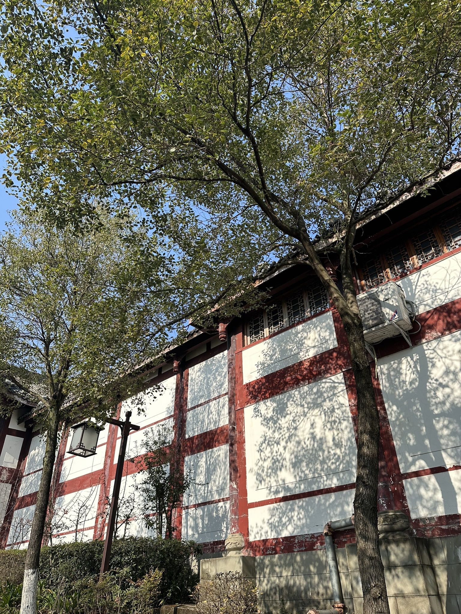 北关石牌坊景区旅行图片 3