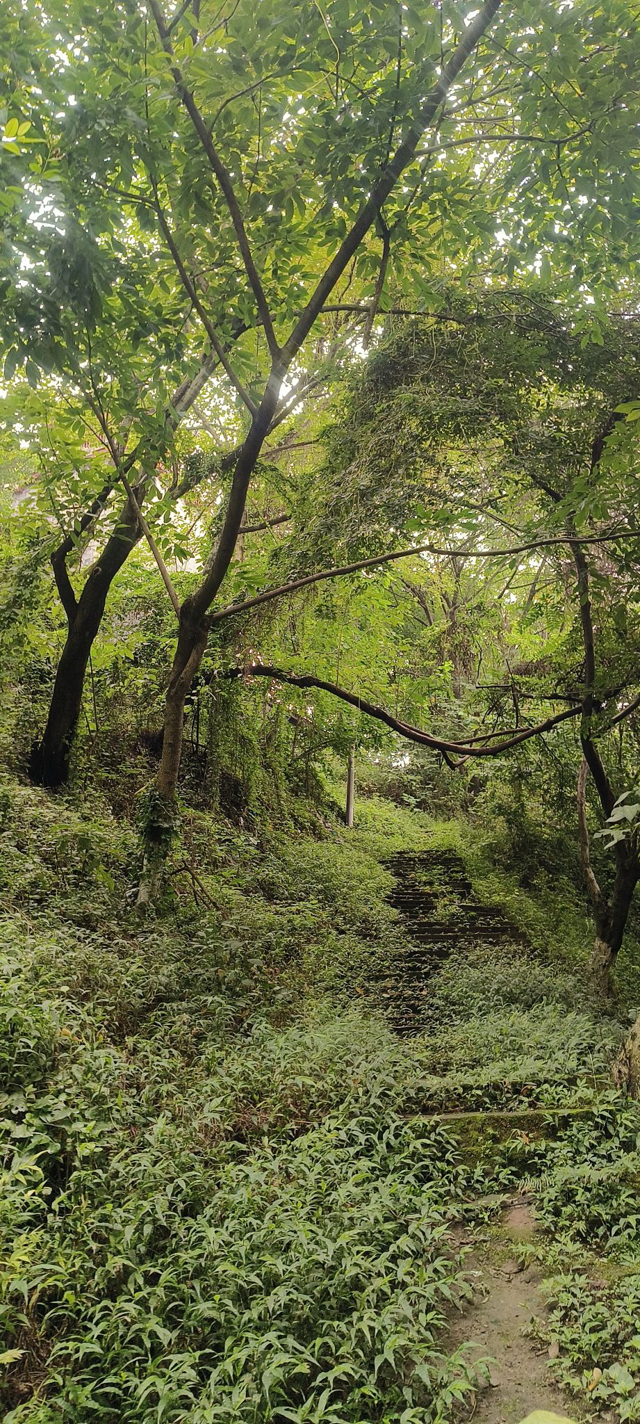 北关石牌坊景区旅行图片 3