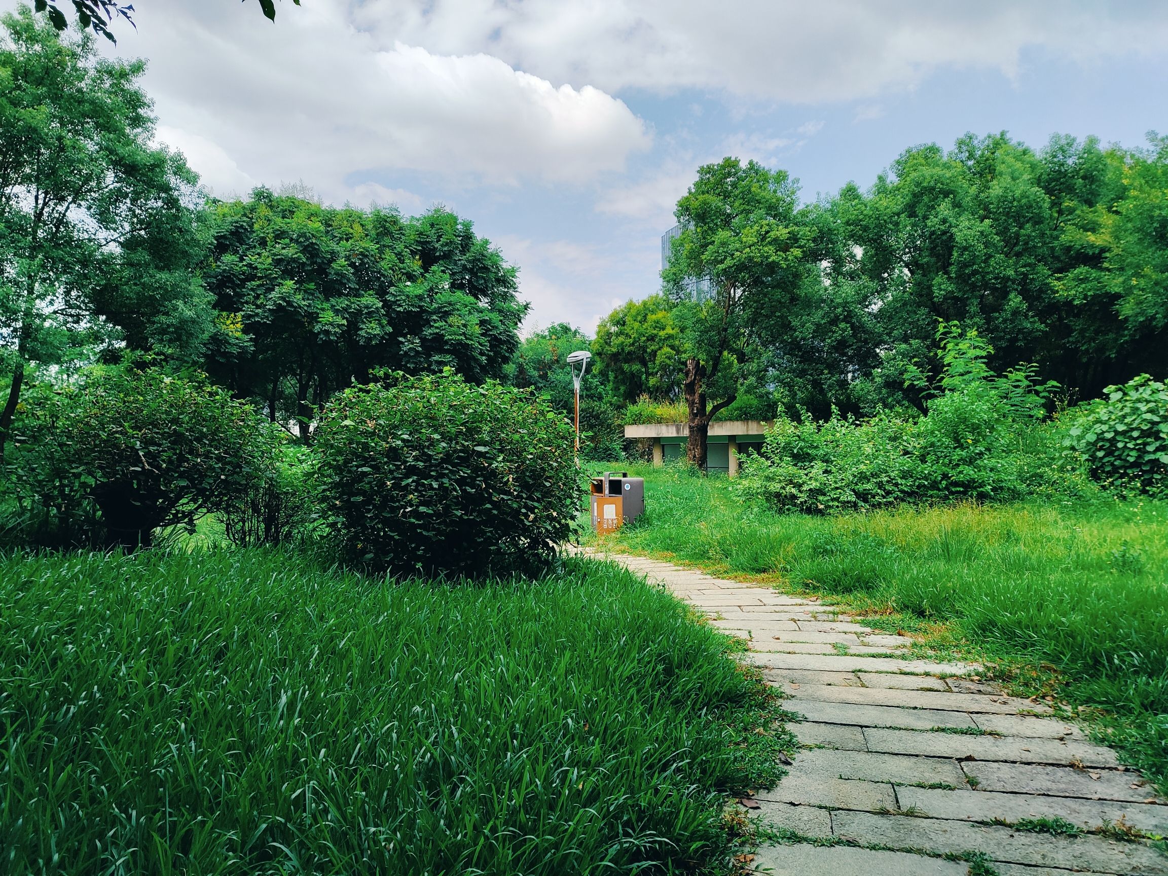 碧湖生态公园旅行图片 2