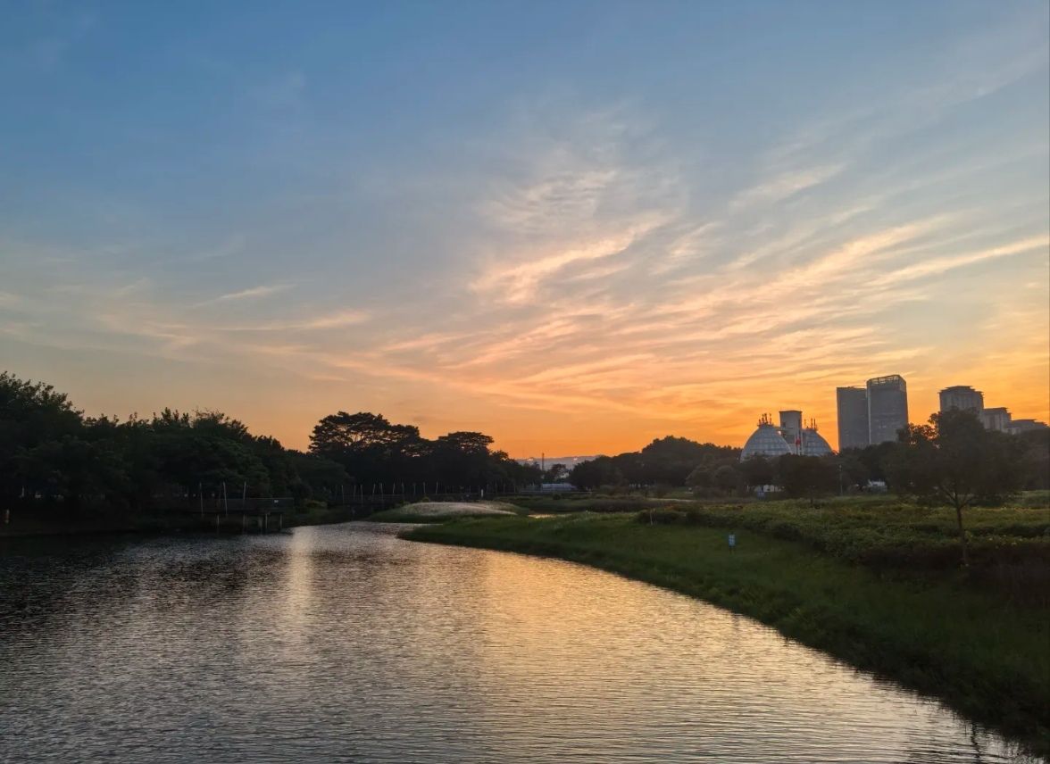 碧湖生态公园旅行图片 2
