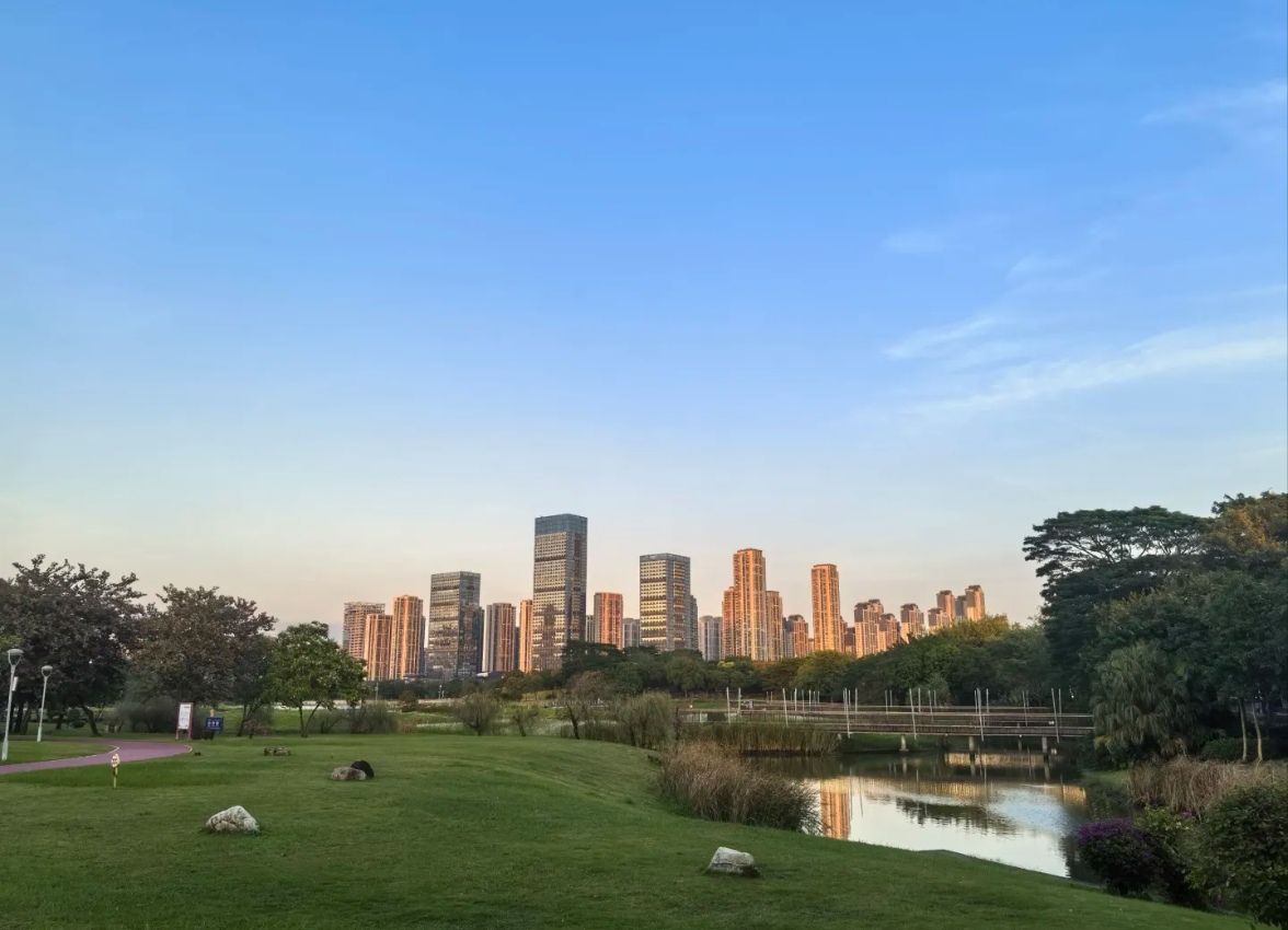 碧湖生态公园旅行图片 3