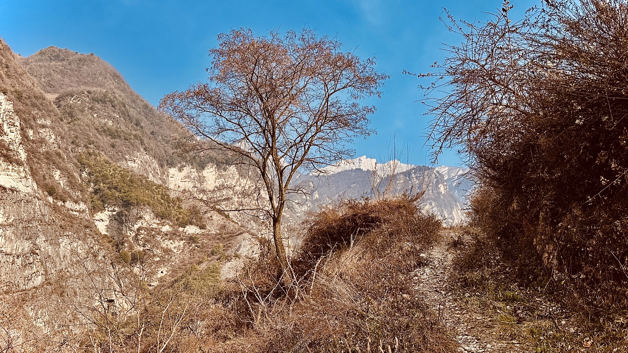 阿坝州西羌大峡谷旅行图片 2