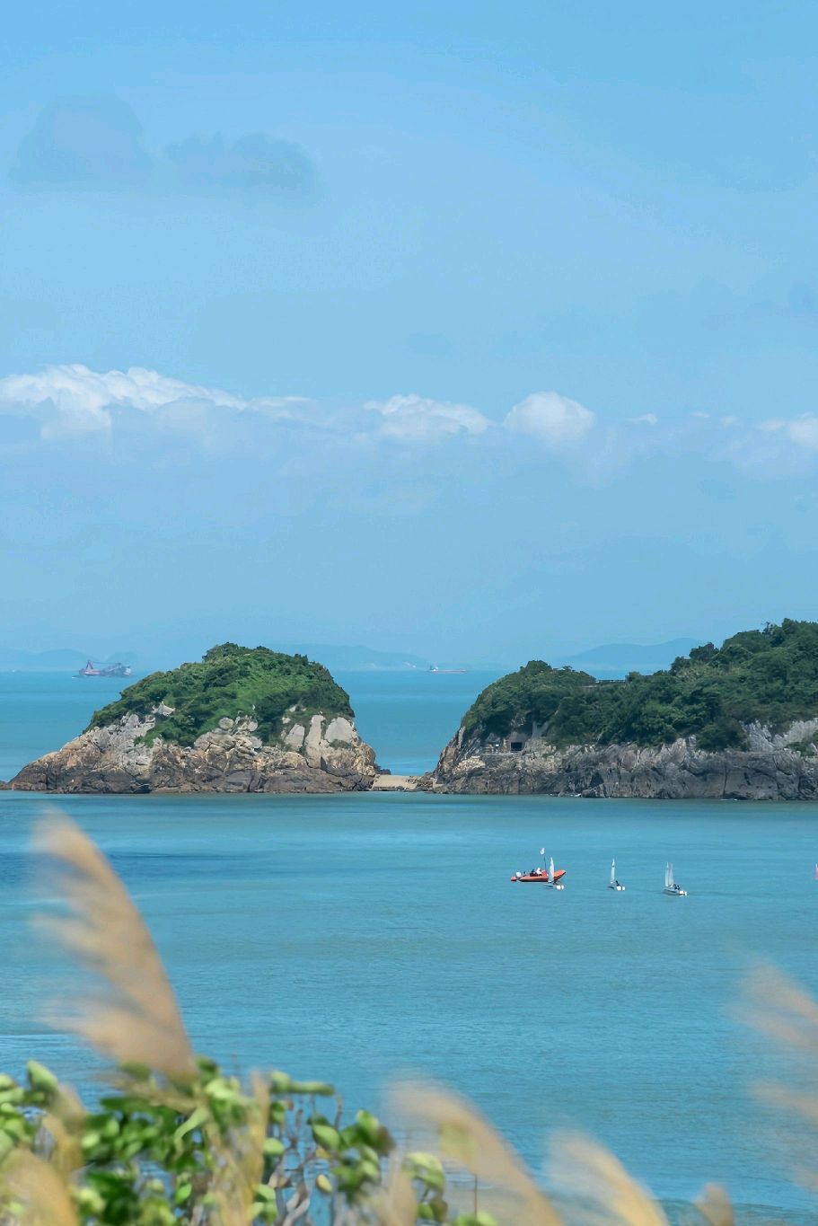 大陈岛旅行图片 3