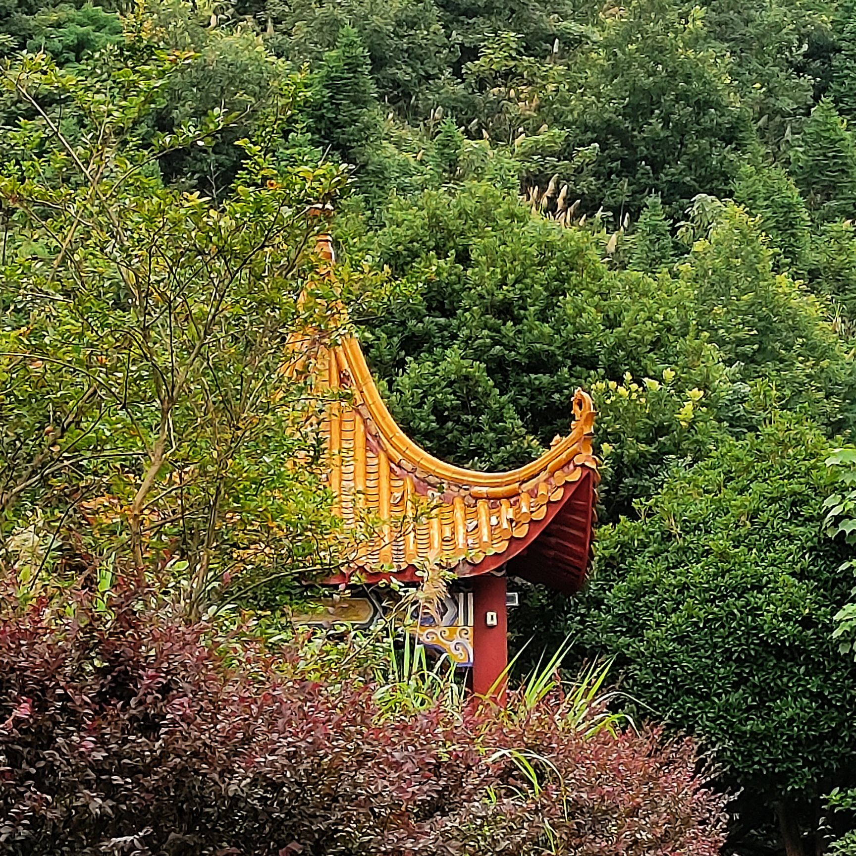 花果山公园旅行图片 1
