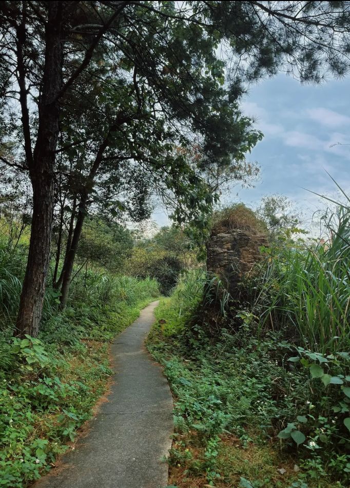 芙蓉山公园旅行图片 2