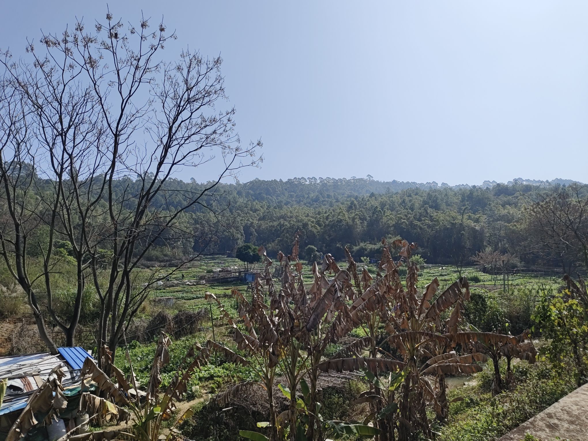 芙蓉山公园旅行图片 3