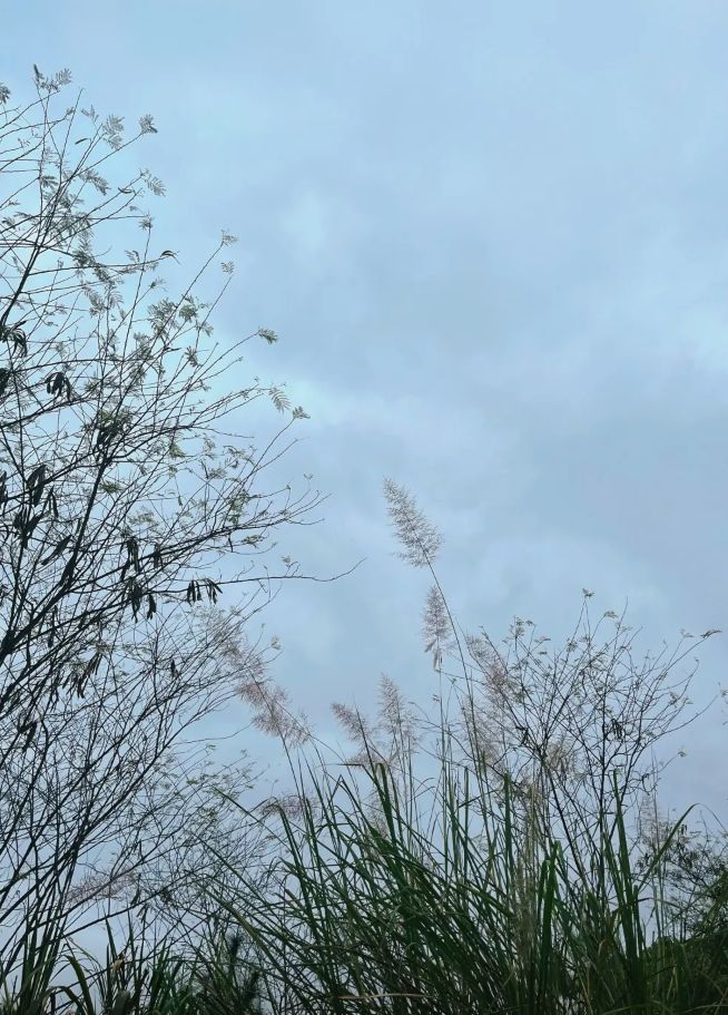 芙蓉山公园旅行图片 1