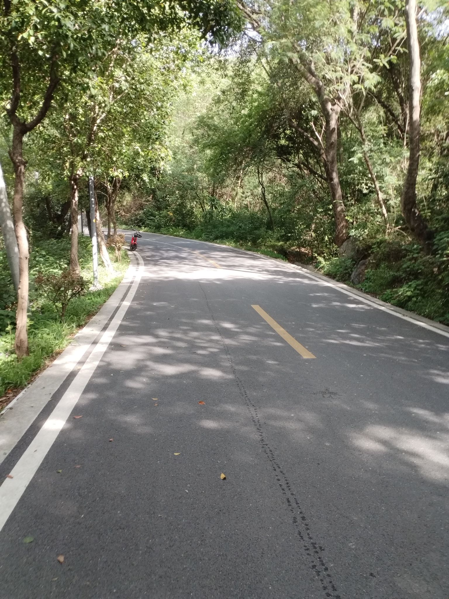 芙蓉山公园旅行图片 1