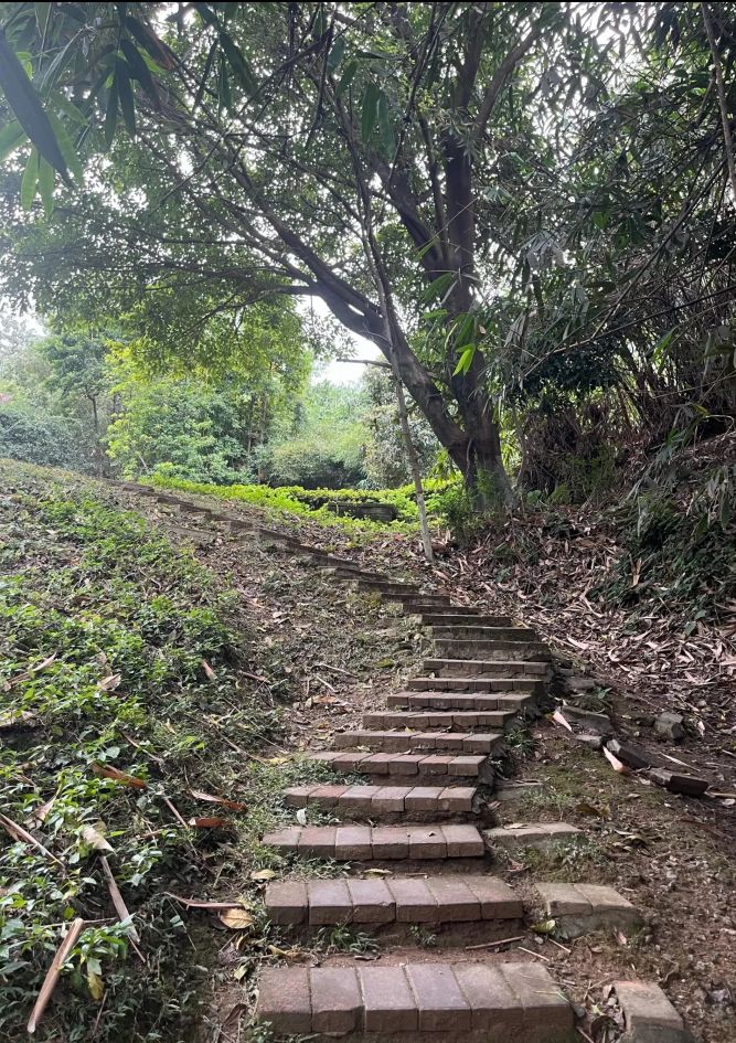 芙蓉山公园旅行图片 3