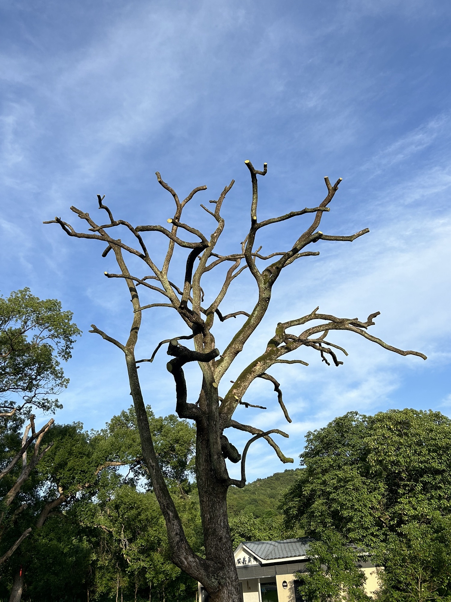 芙蓉山公园旅行图片 2