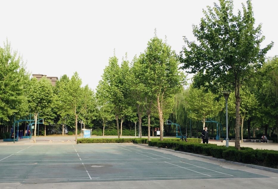 周自齐公园旅行图片 2