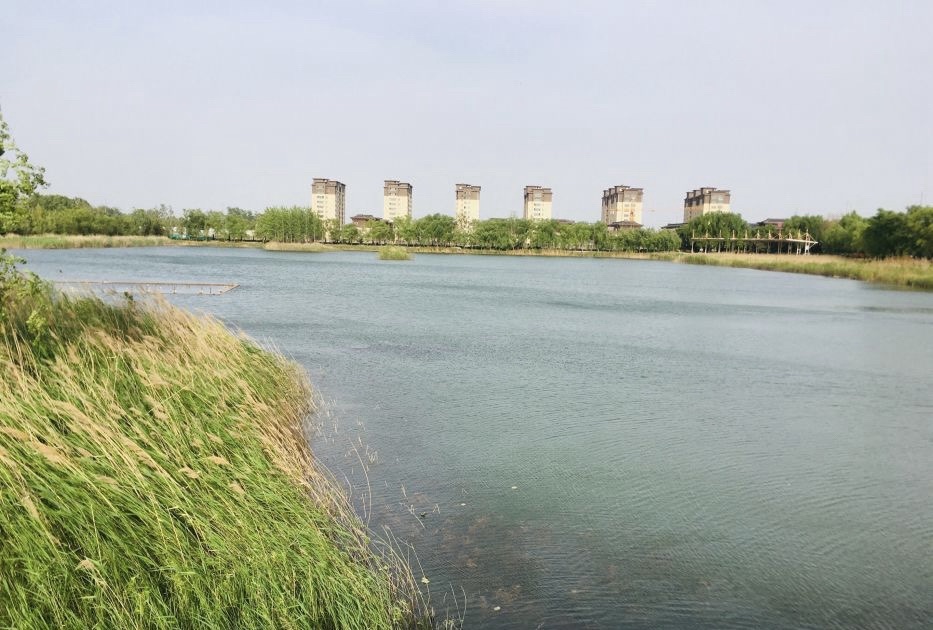 周自齐公园旅行图片 3