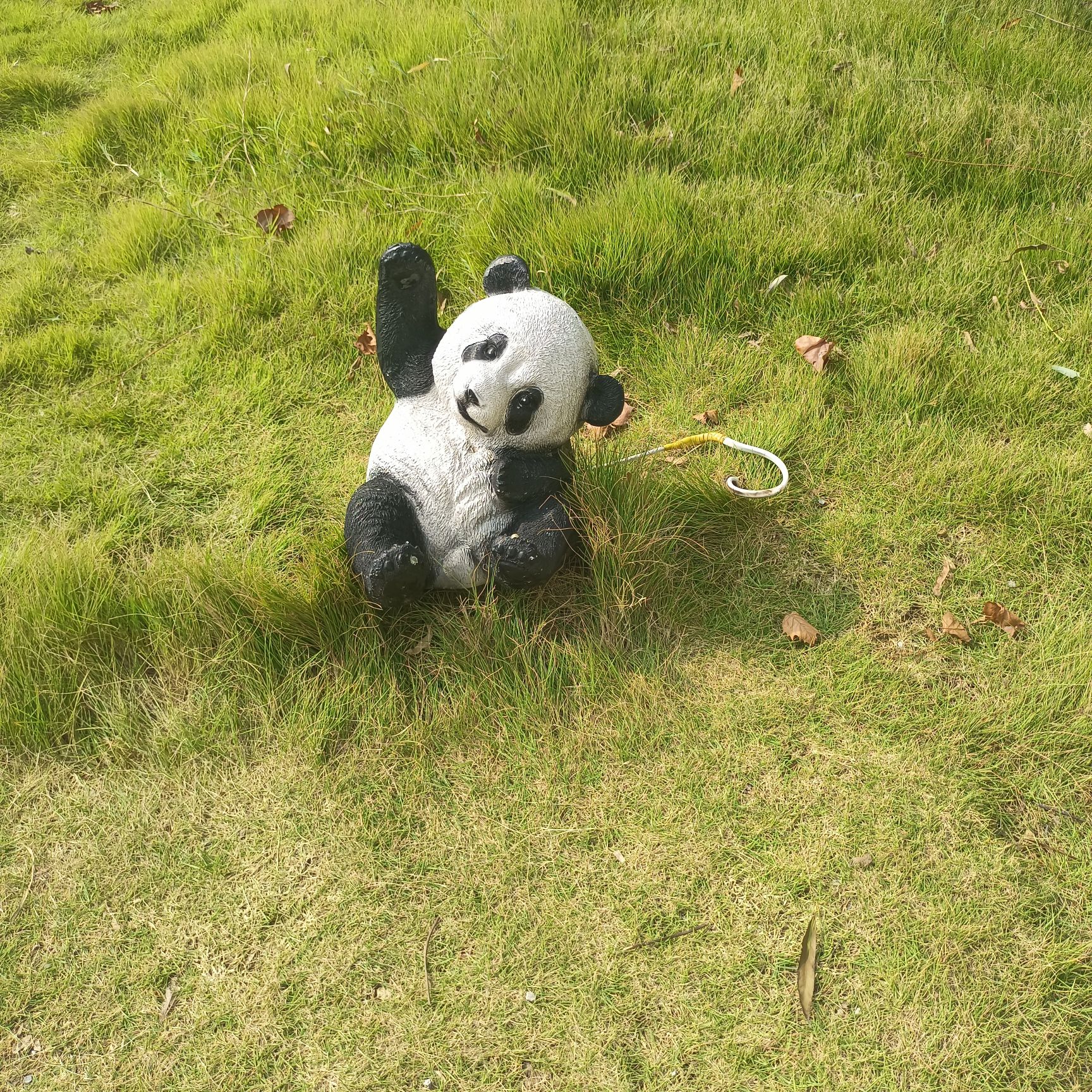 周自齐公园旅行图片 3