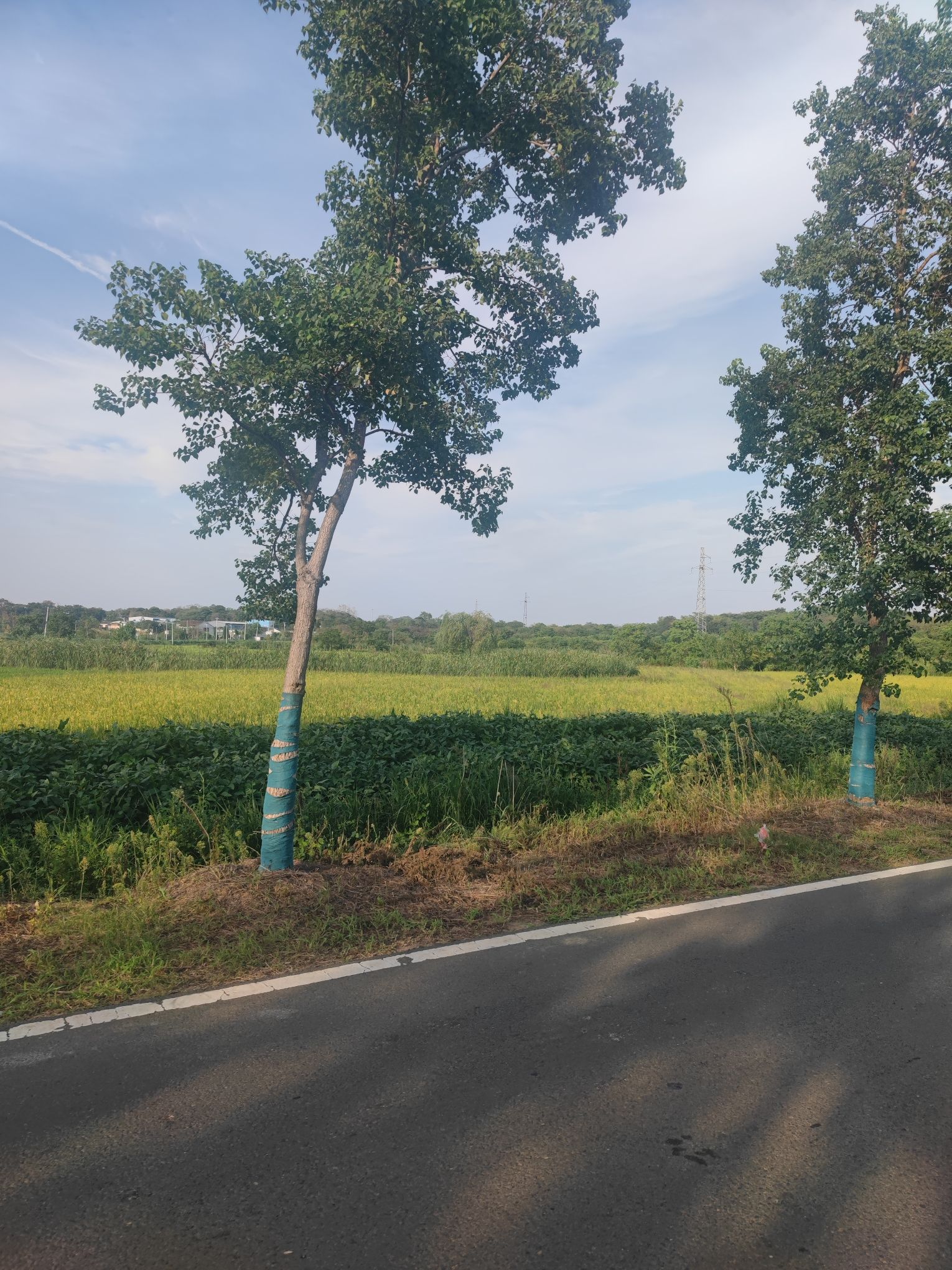 赤山风景区旅行图片 2