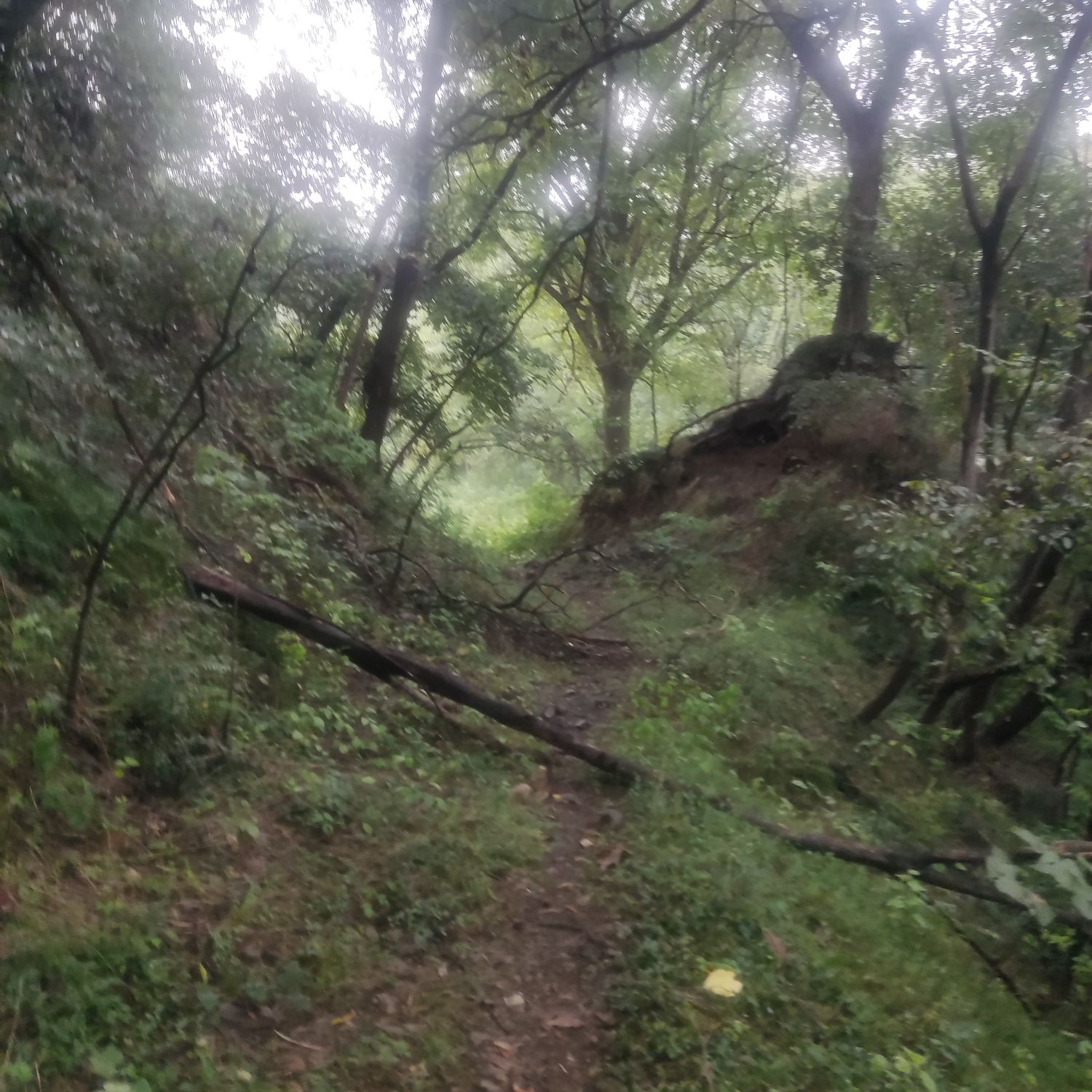 赤山风景区旅行图片 3