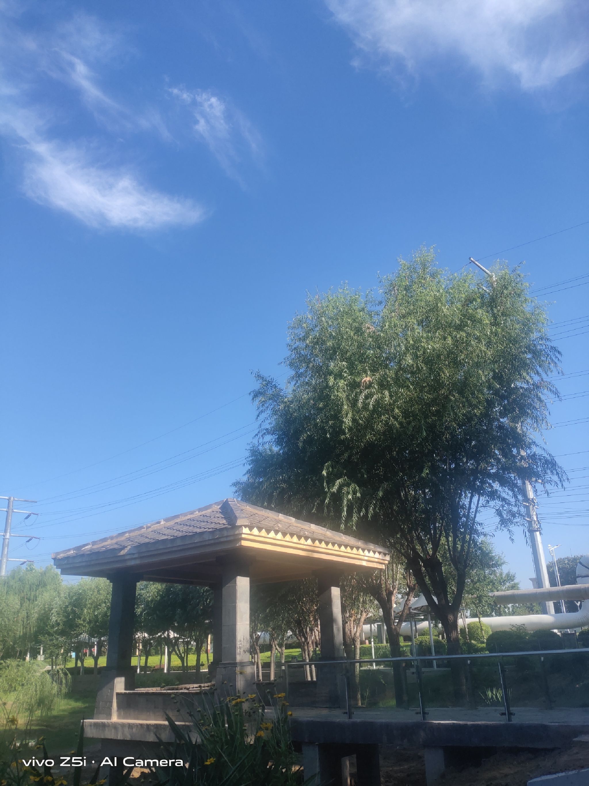 信发游园旅行图片 1
