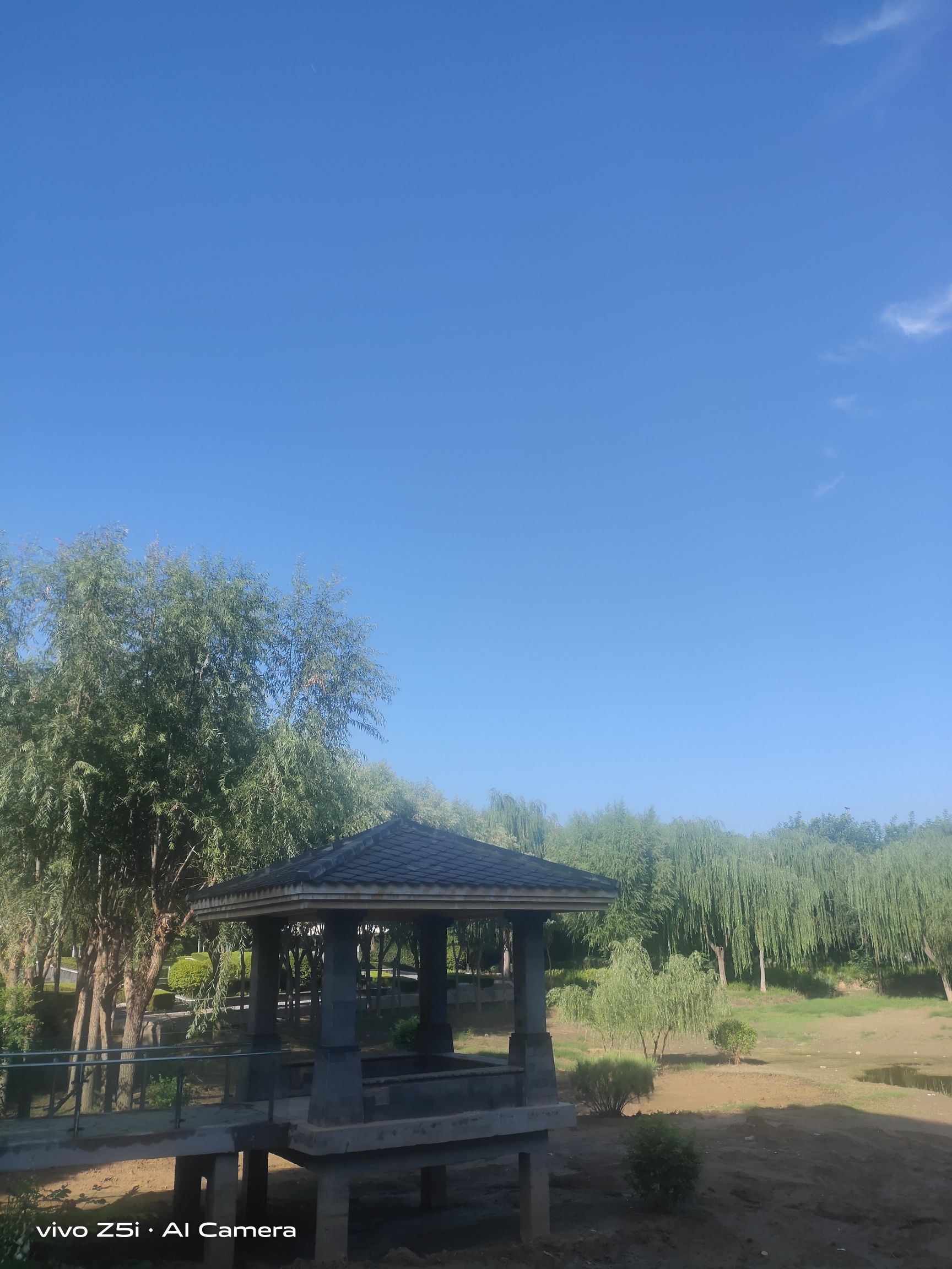 信发游园旅行图片 3
