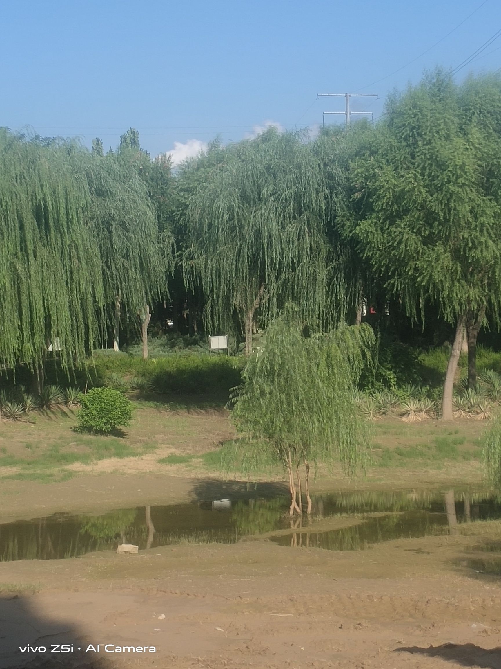 信发游园旅行图片 2
