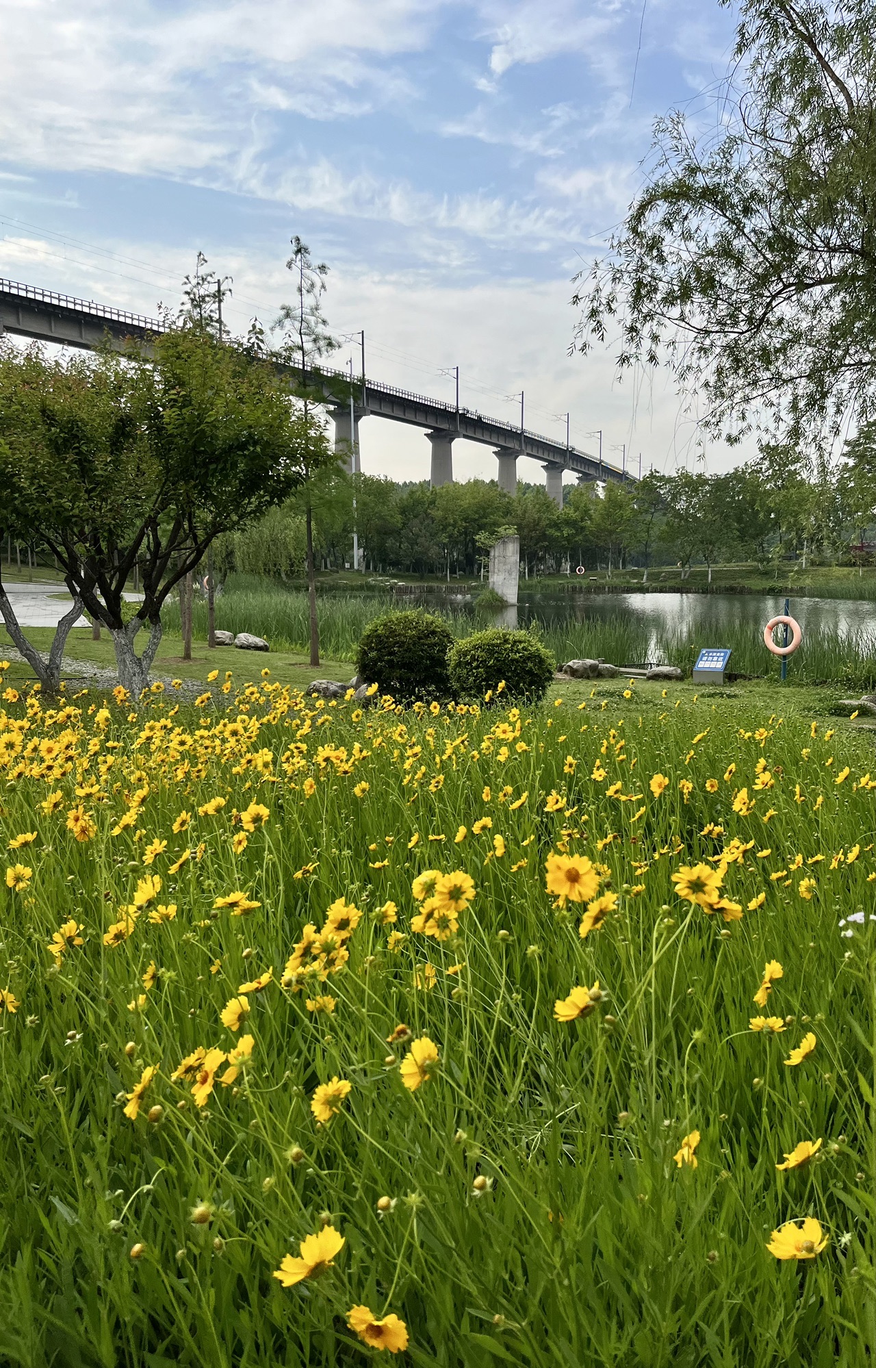 戴家湖公园旅行图片 2