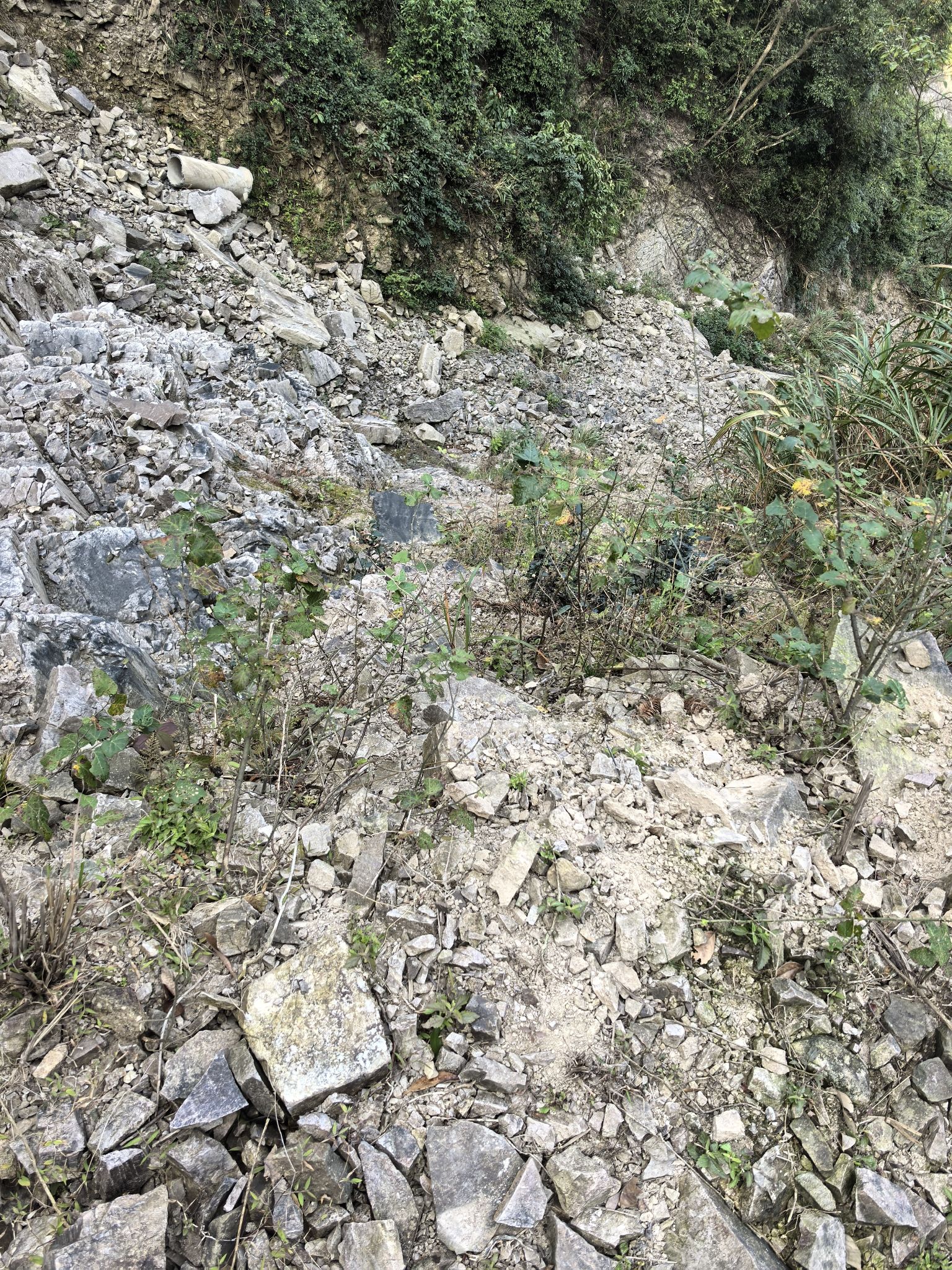 大化山风景区旅行图片 2