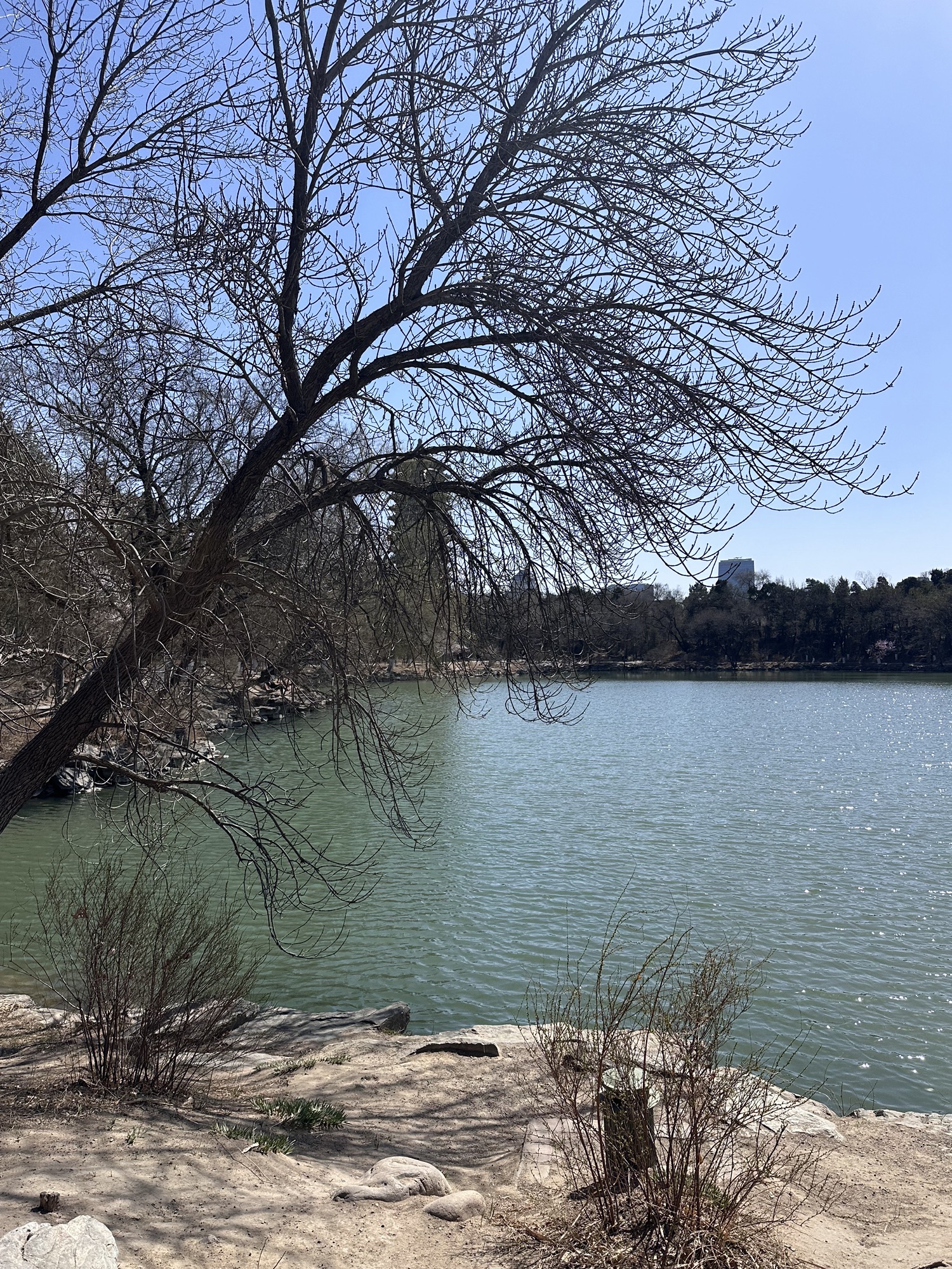 未名湖旅行图片 2