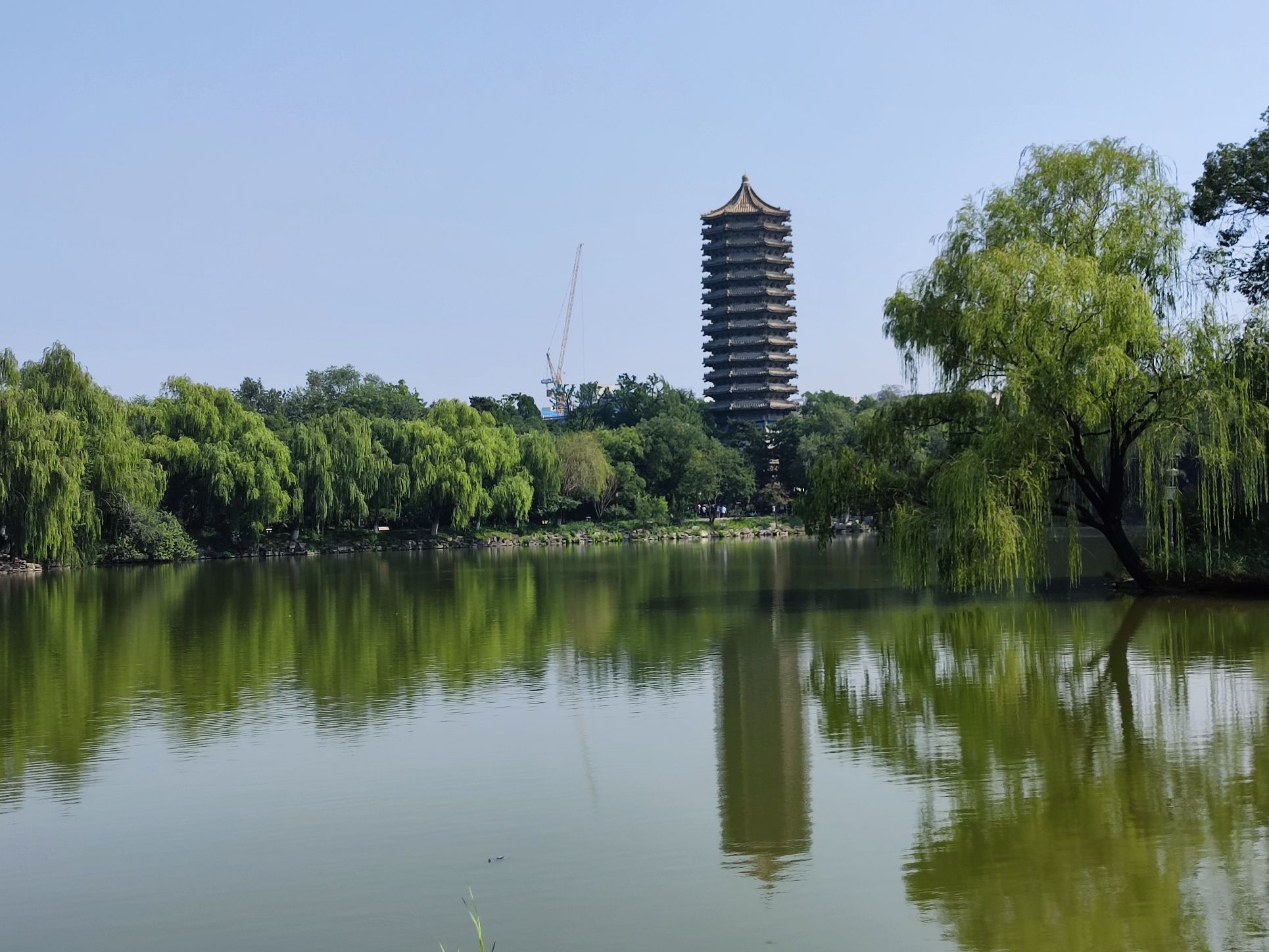 未名湖旅行图片 3
