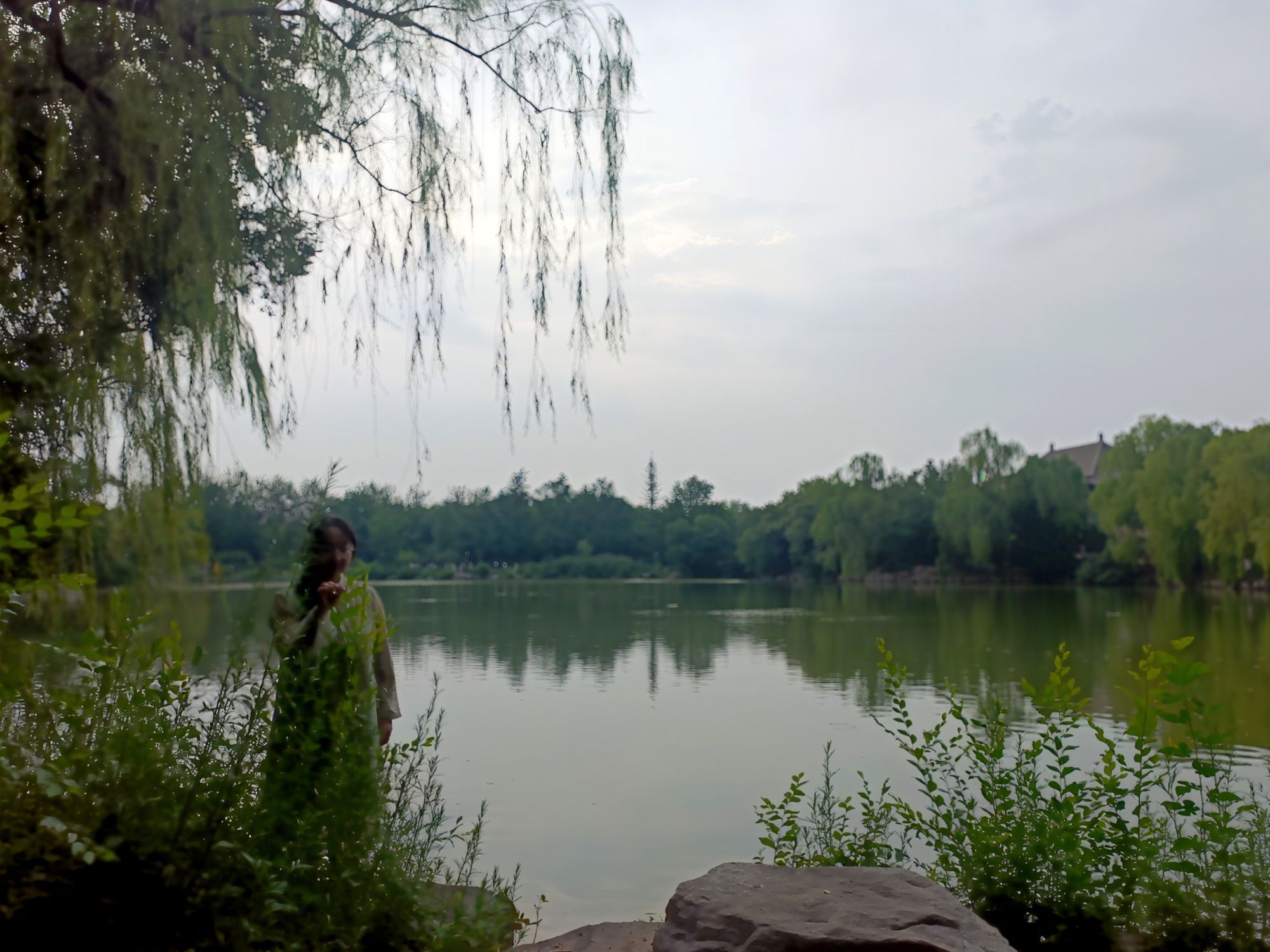 未名湖旅行图片 1