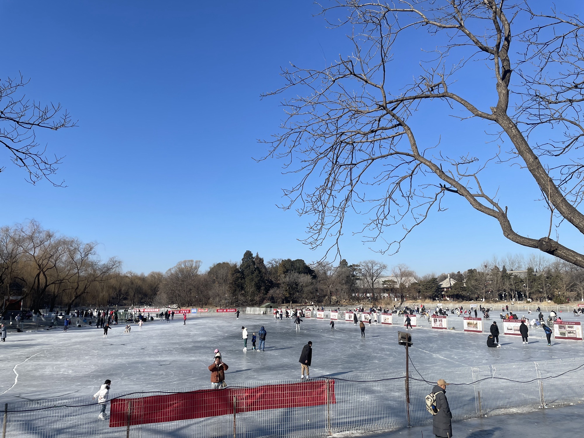 未名湖旅行图片 3
