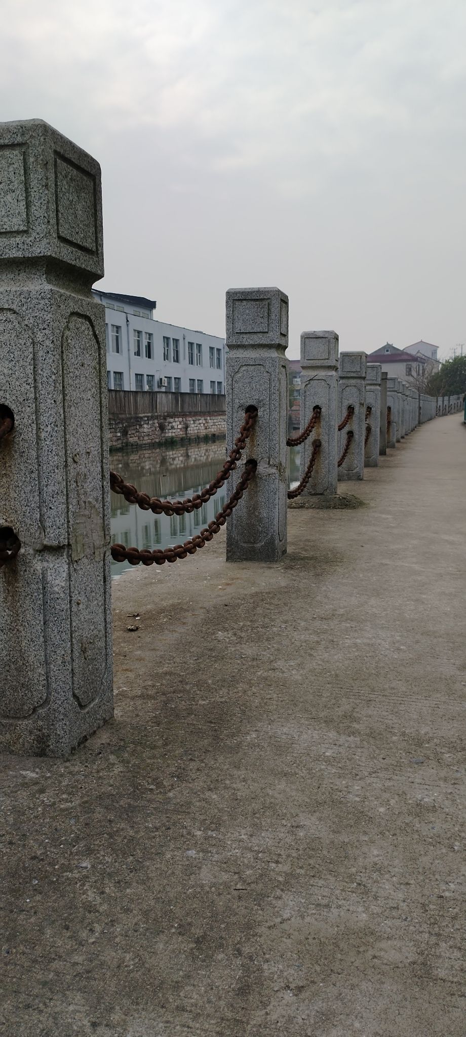 奉城老街旅行图片 2