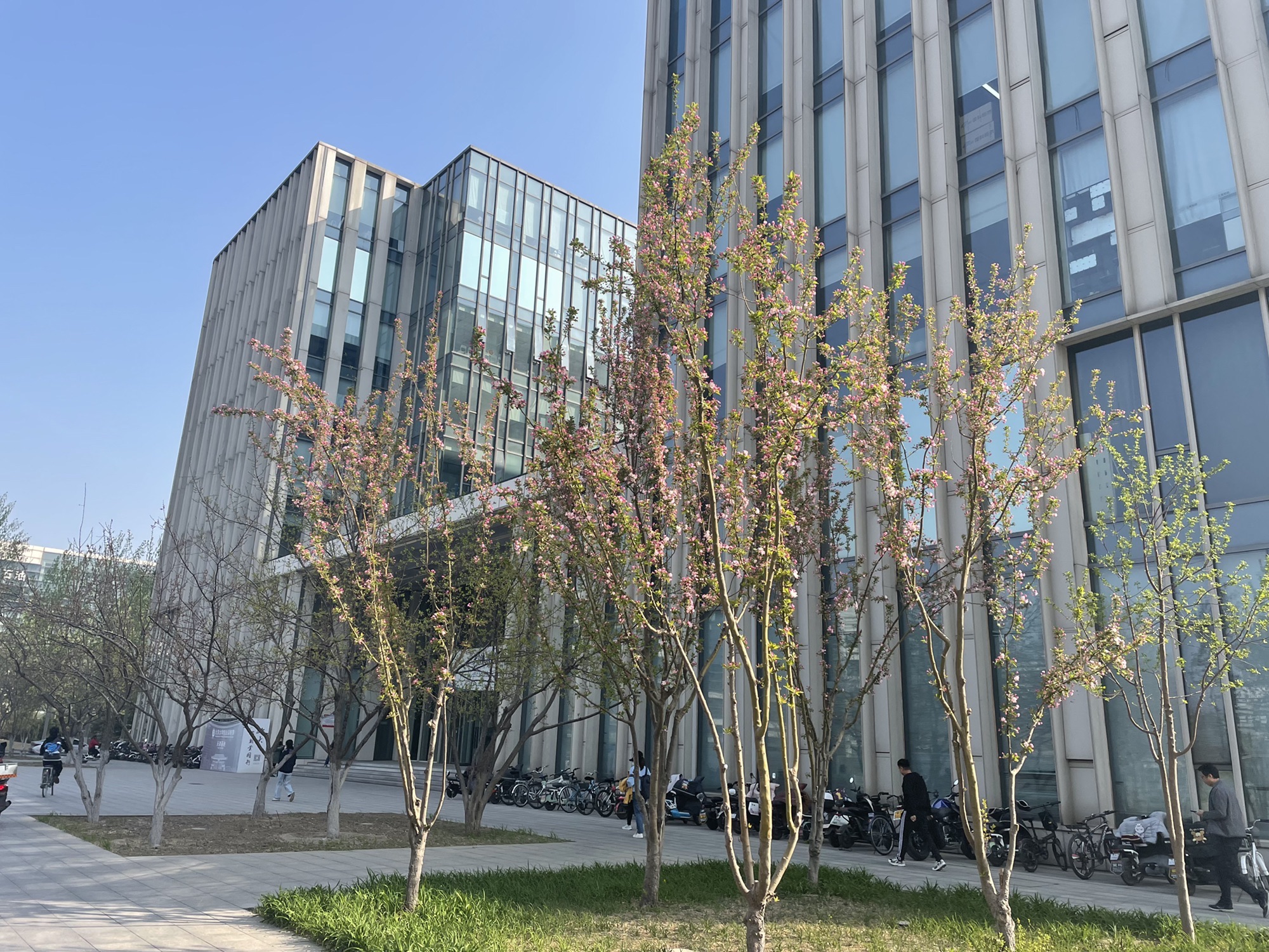 空港商务园东区实景图（3）