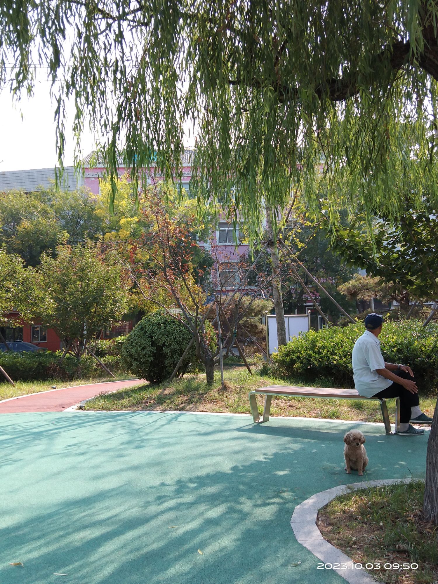 人保广场旅行图片 3