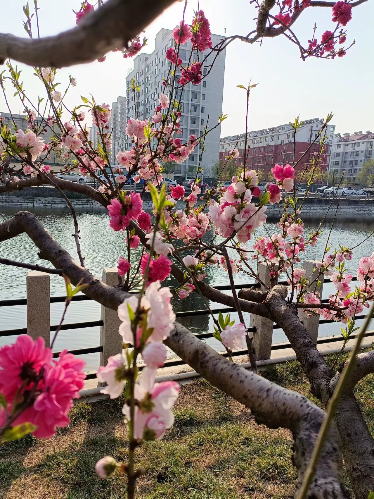 孙武广场旅行图片 3