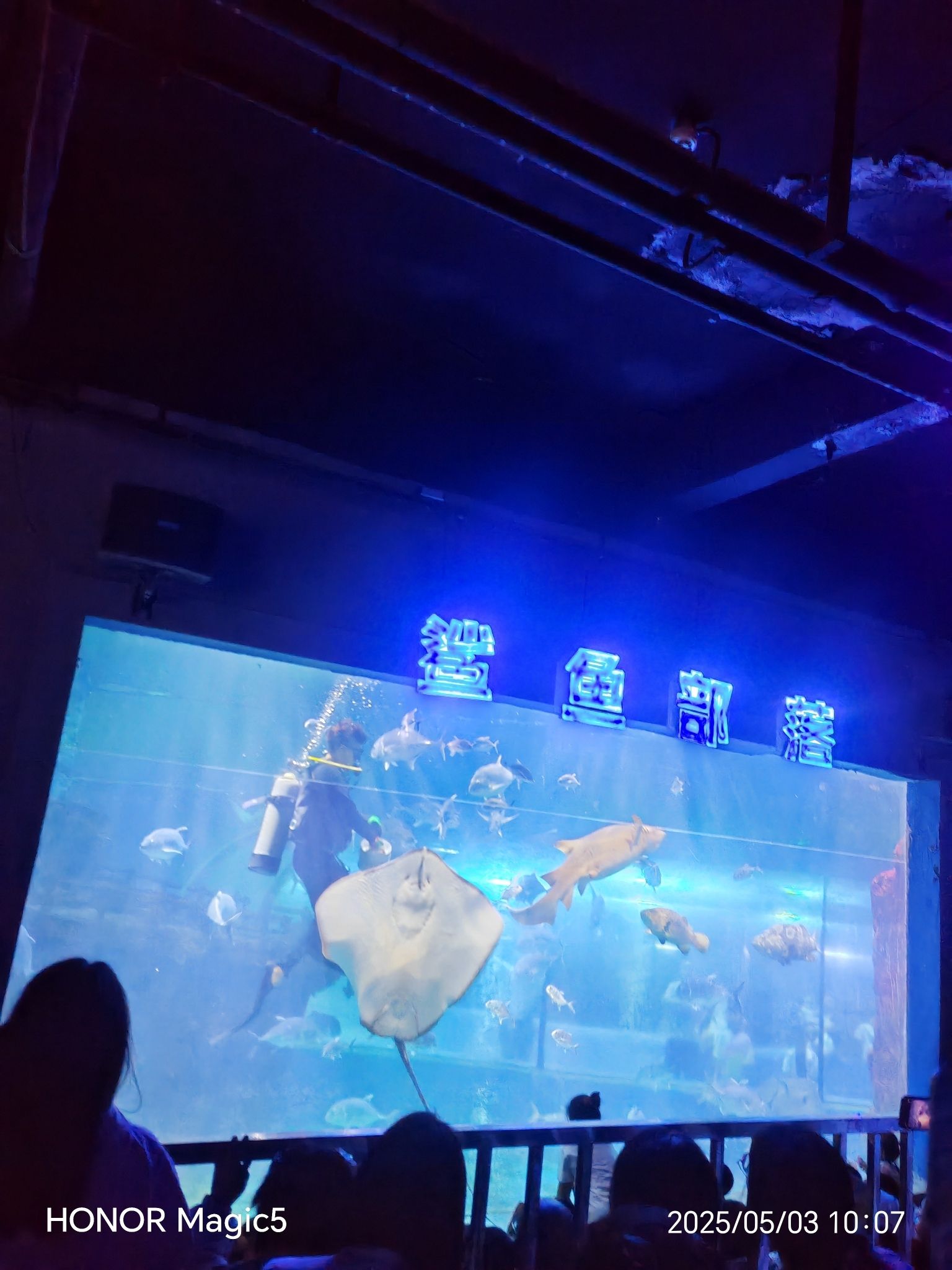 邯郸·海洋世界旅行图片 3