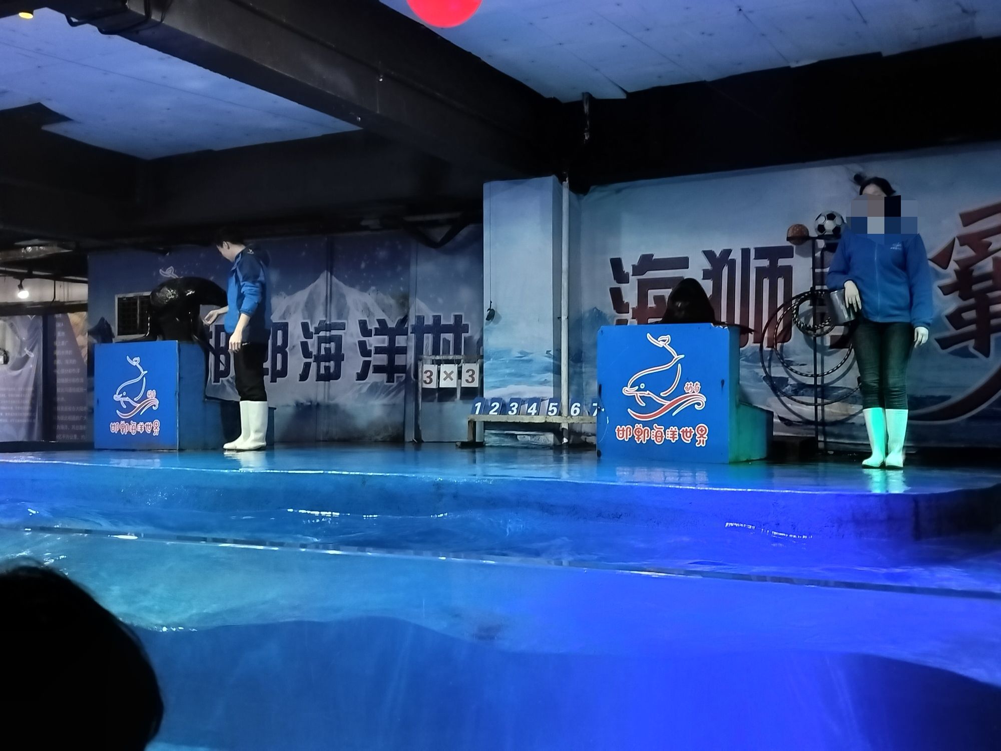 邯郸·海洋世界旅行图片 3