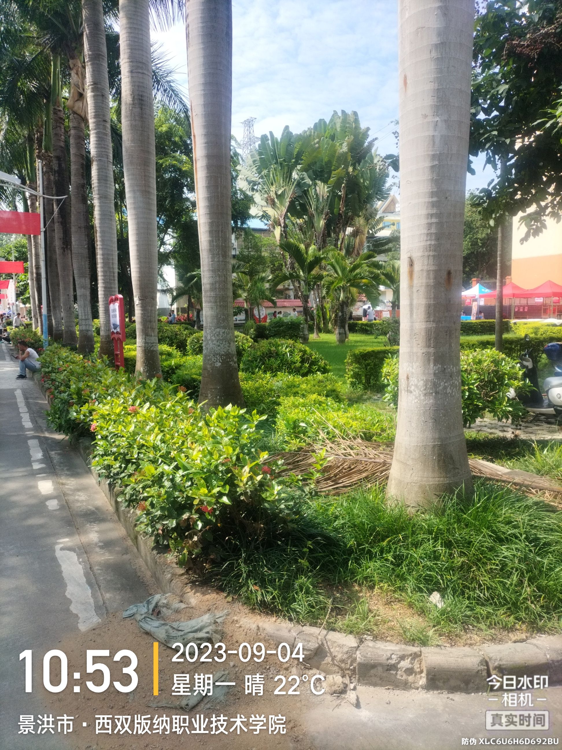 云南农业大学(西双版纳校区)
