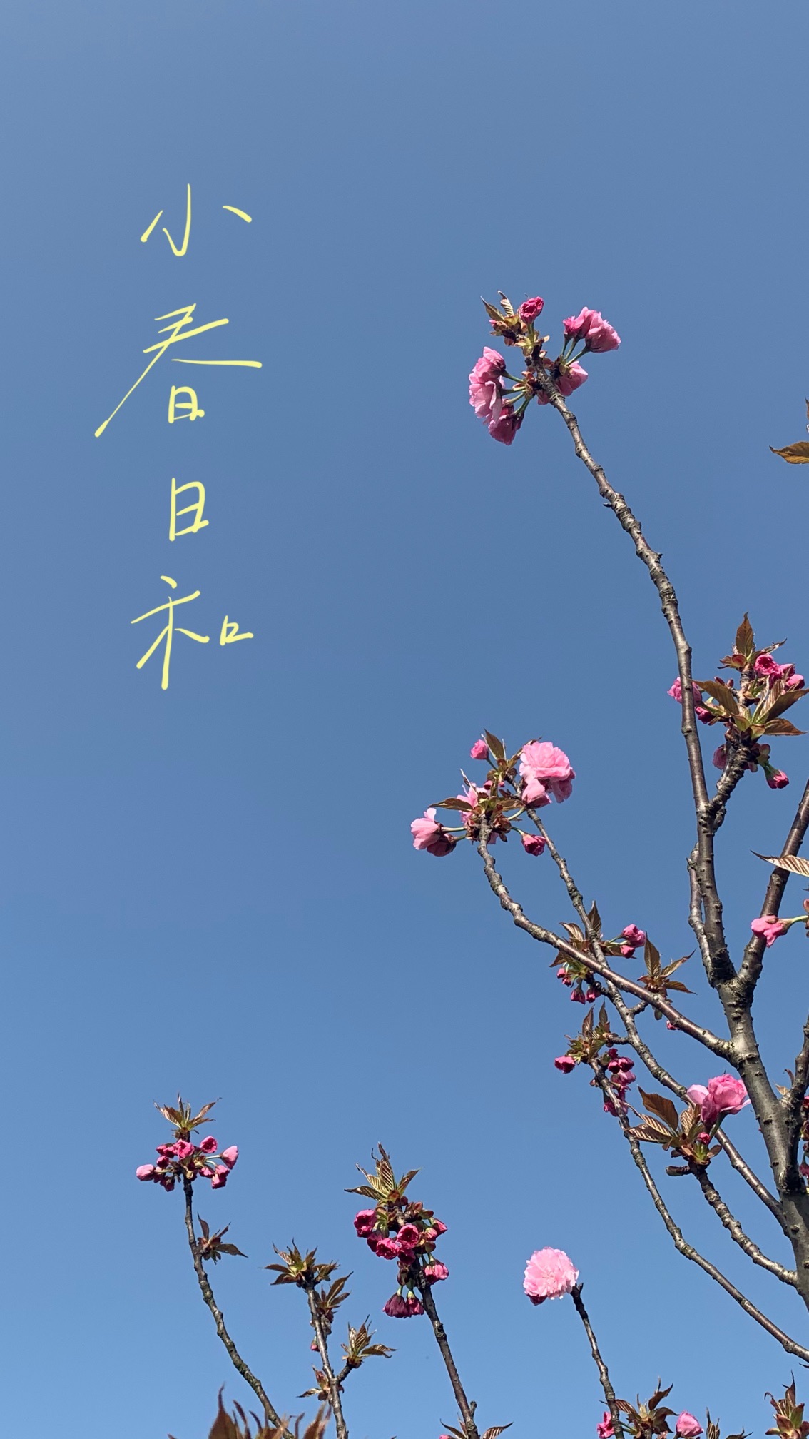 七仙大福村旅行图片 2
