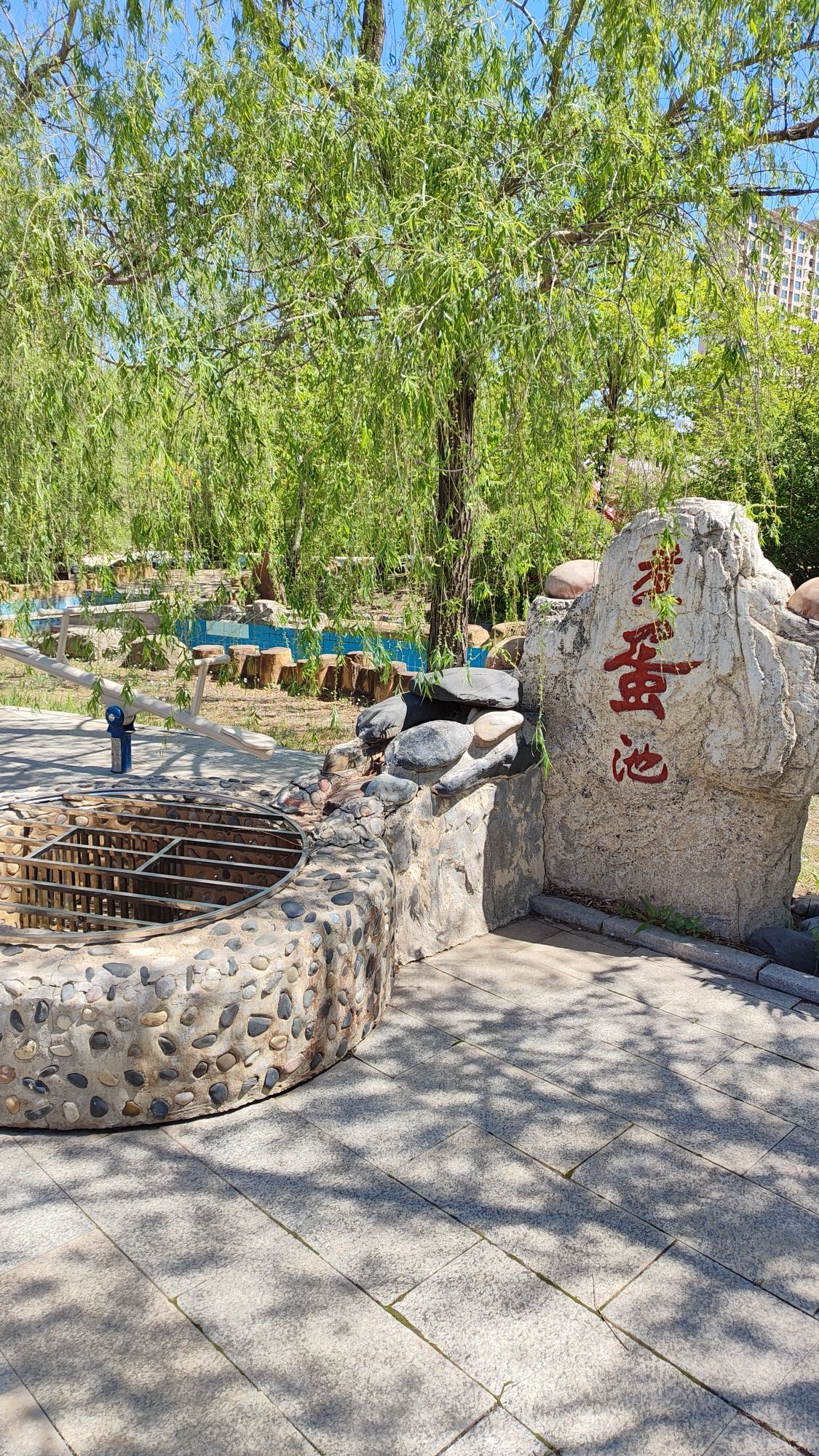 北国温泉旅行图片 3