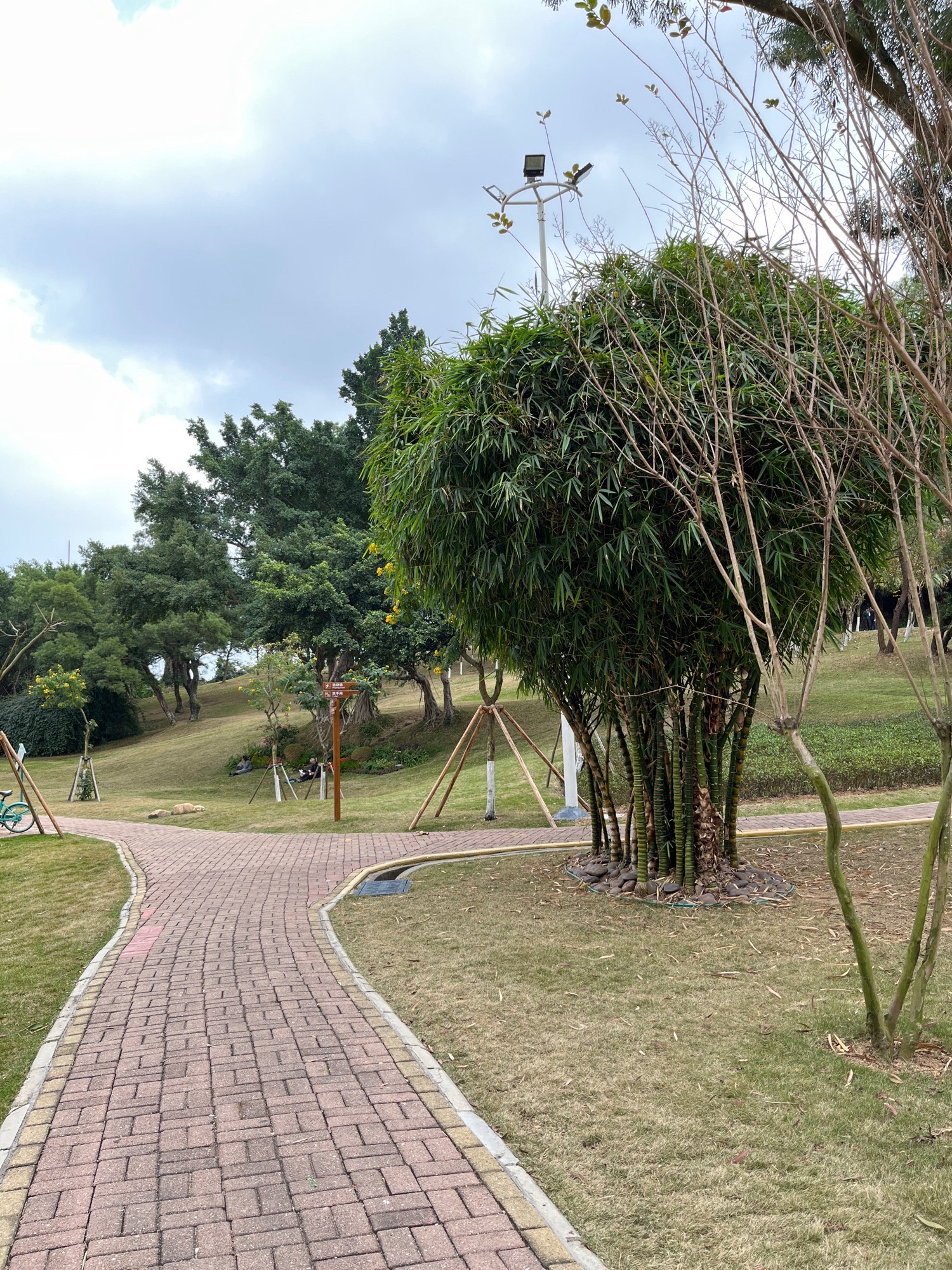 梅华城市花园旅行图片 2