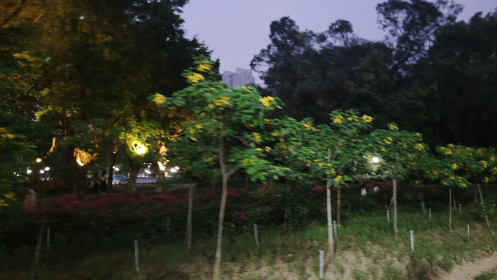 梅华城市花园旅行图片 3